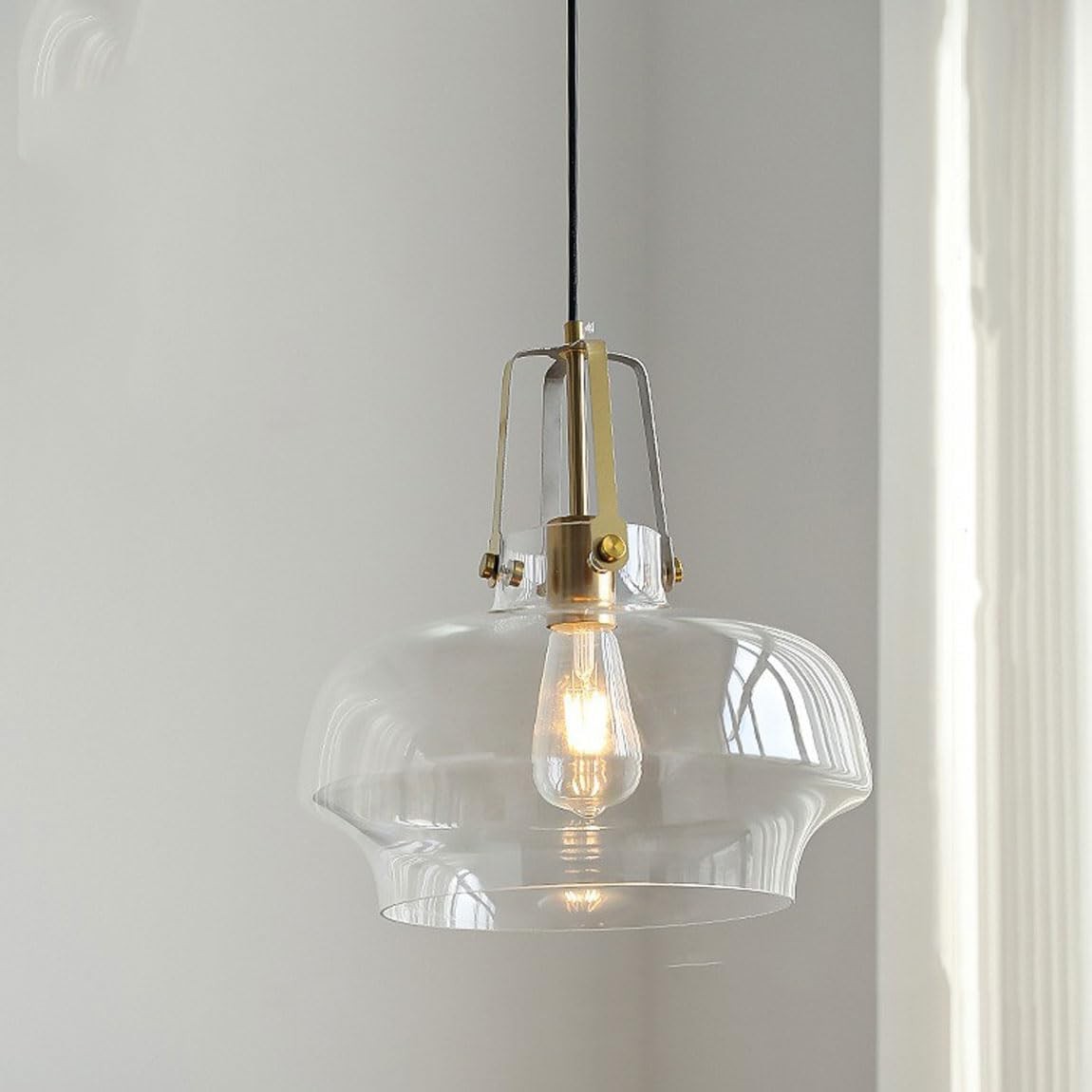 Modern Unique Shaped Fish Tank Glass Pendant Light T166