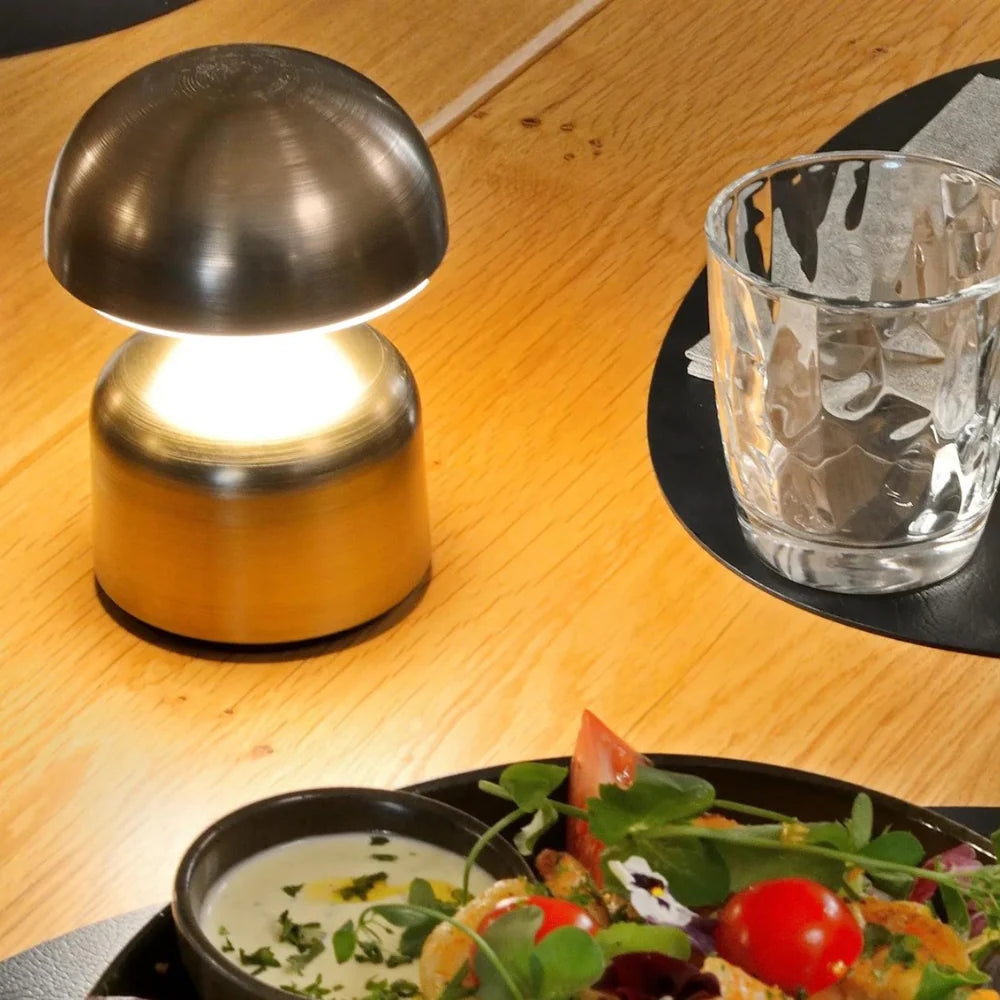 Luminous Nikkel Shine T2068