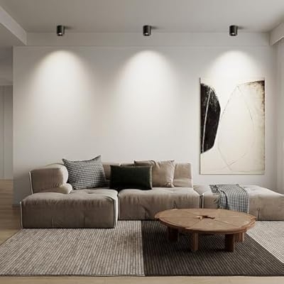 The Futuristic Ring Ceiling Light T2003