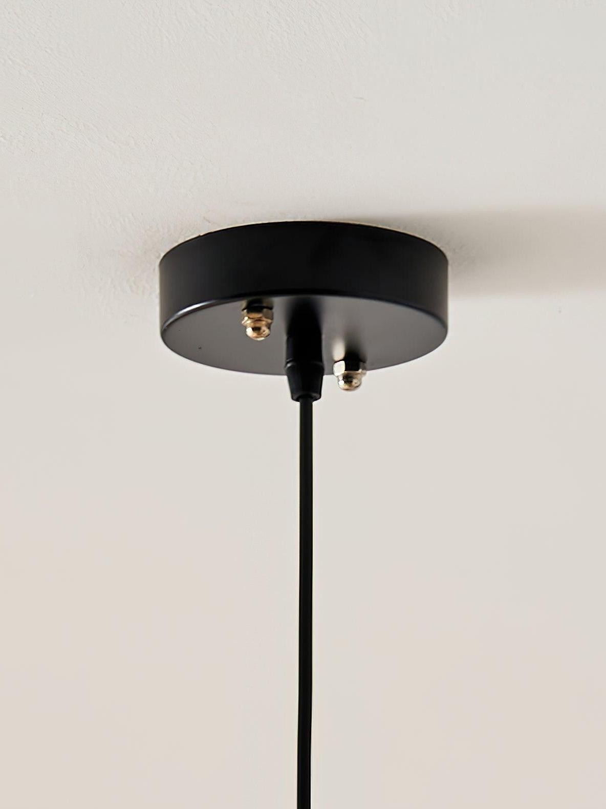 Banana Leaf Pendant Lamp T029