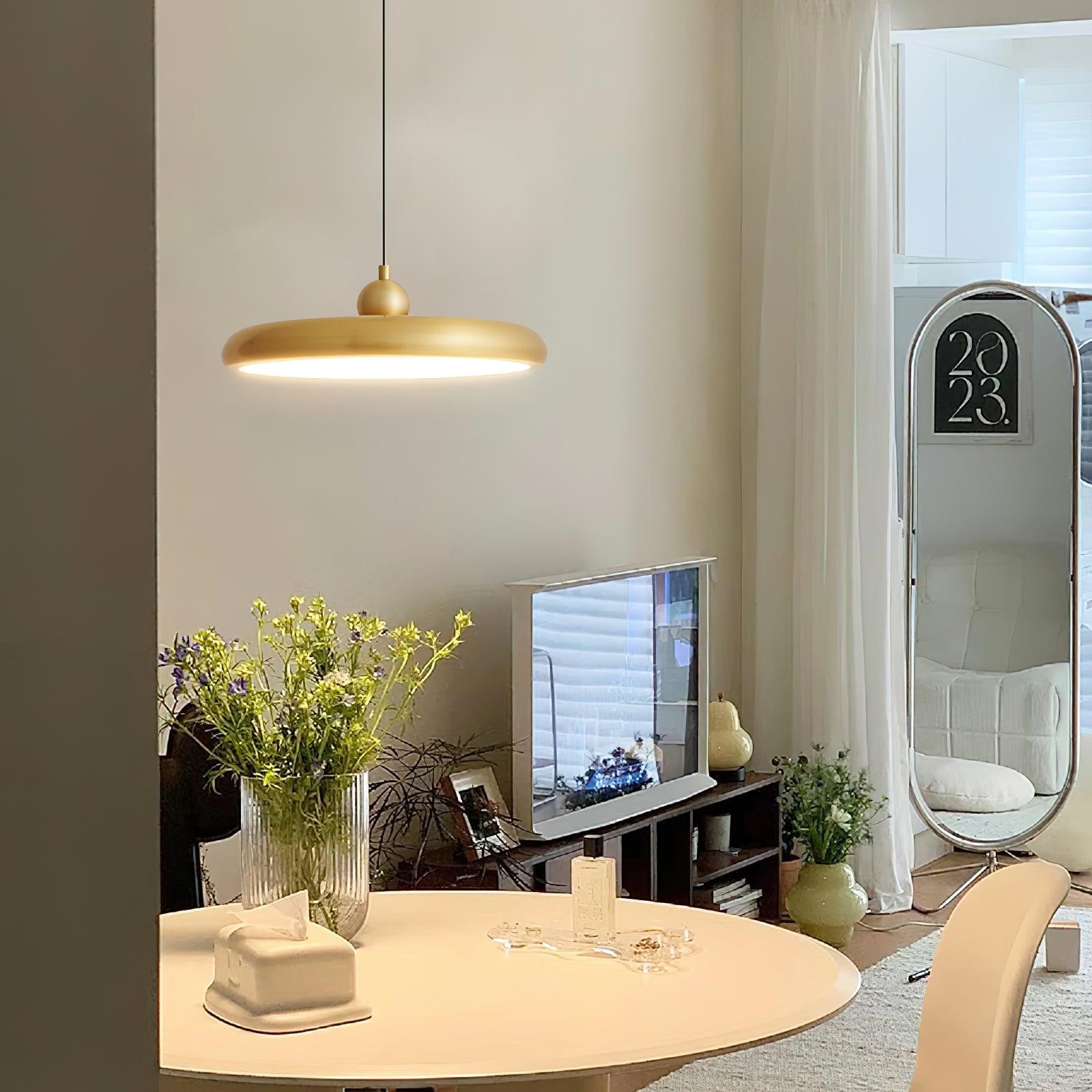 Thin Disc Pendant Lamp M404