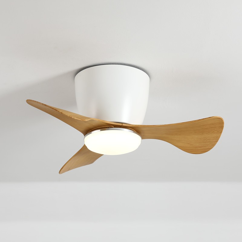 Ceiling Fan with Lights