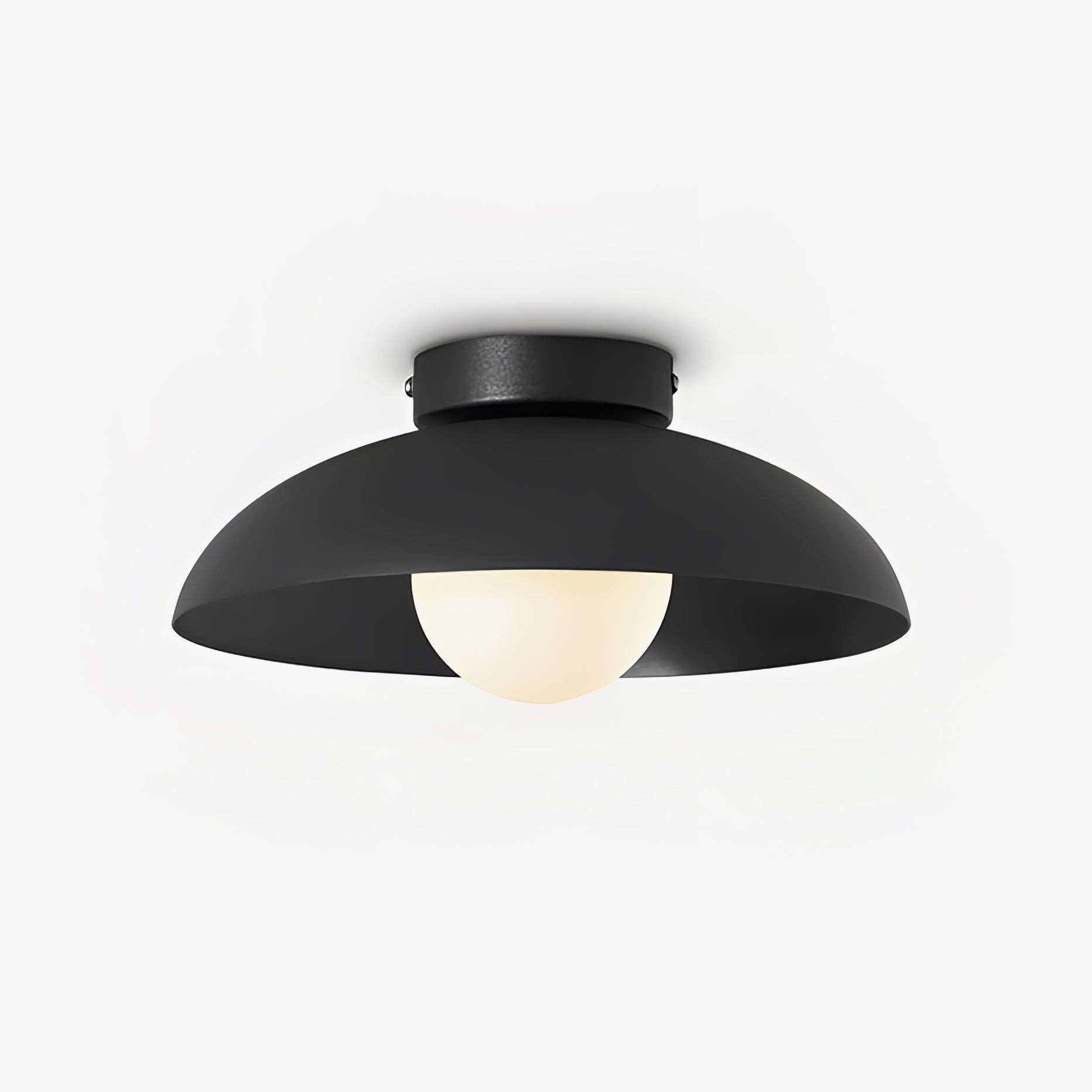 Matte Black Glass Dome Ceiling Lamp M449