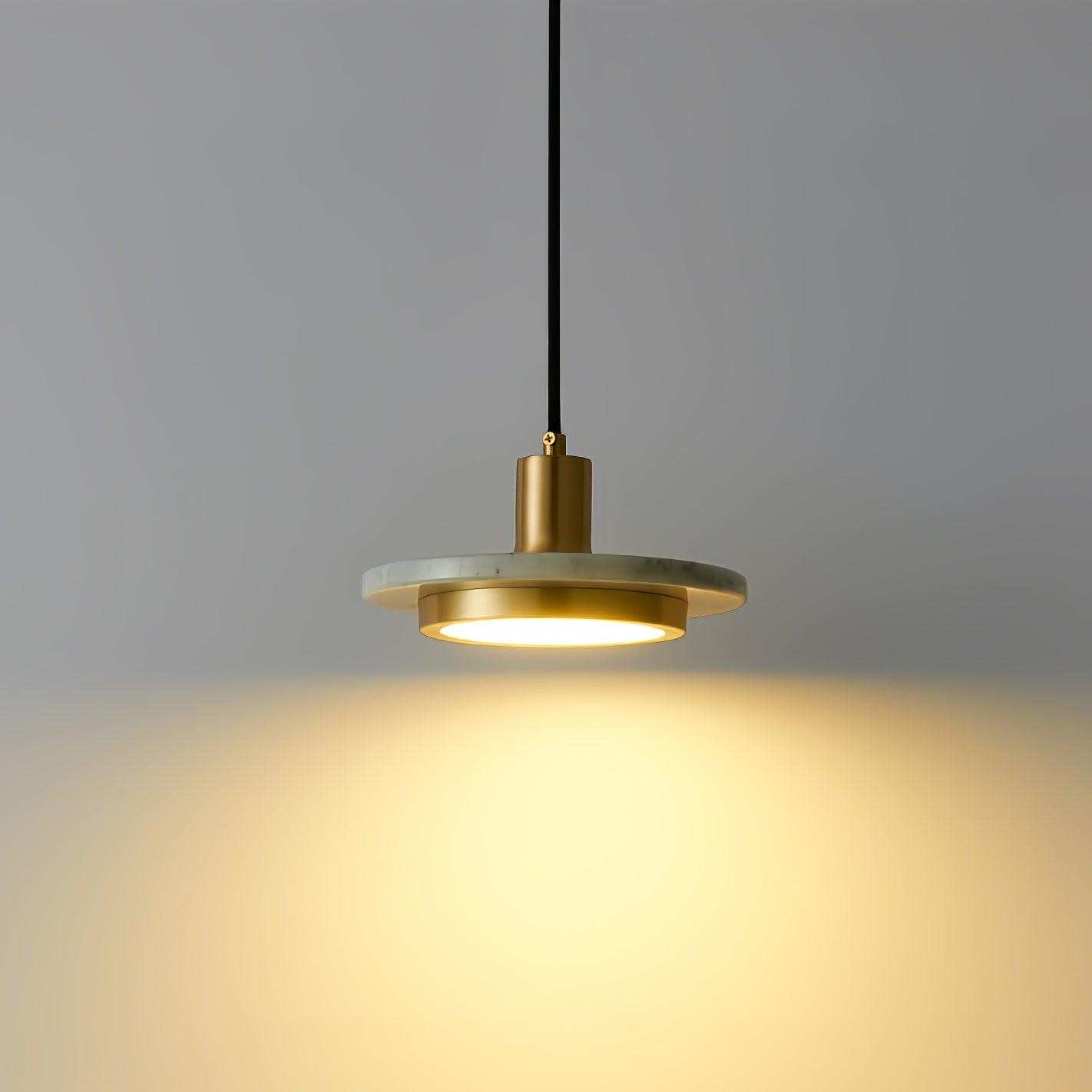 Double Circle Pendant Light M559