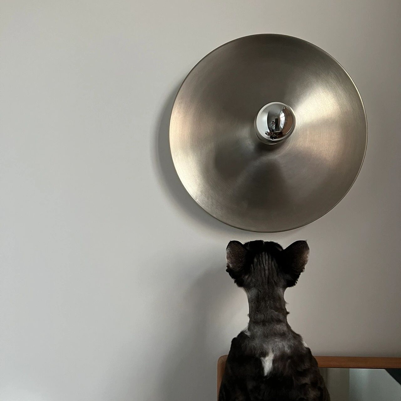 Space Age Disc Ceiling Lamp G93