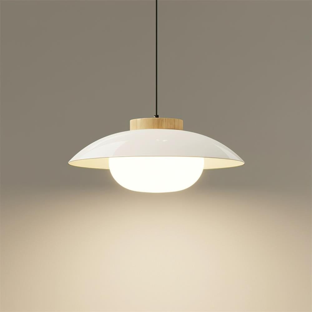 Modern Dining Room Glass Pendant Lamp M99