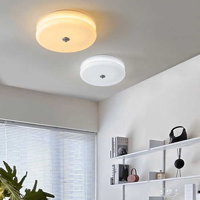 Vintage Glass Flush Mount Ceiling Light S115