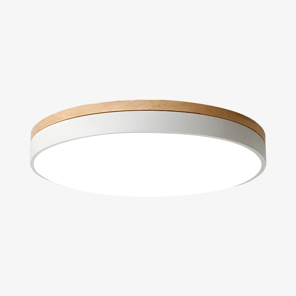 Cielora Round Flush Mount Ceiling Lamp Minimal Profile - Modern Interior Decor T509