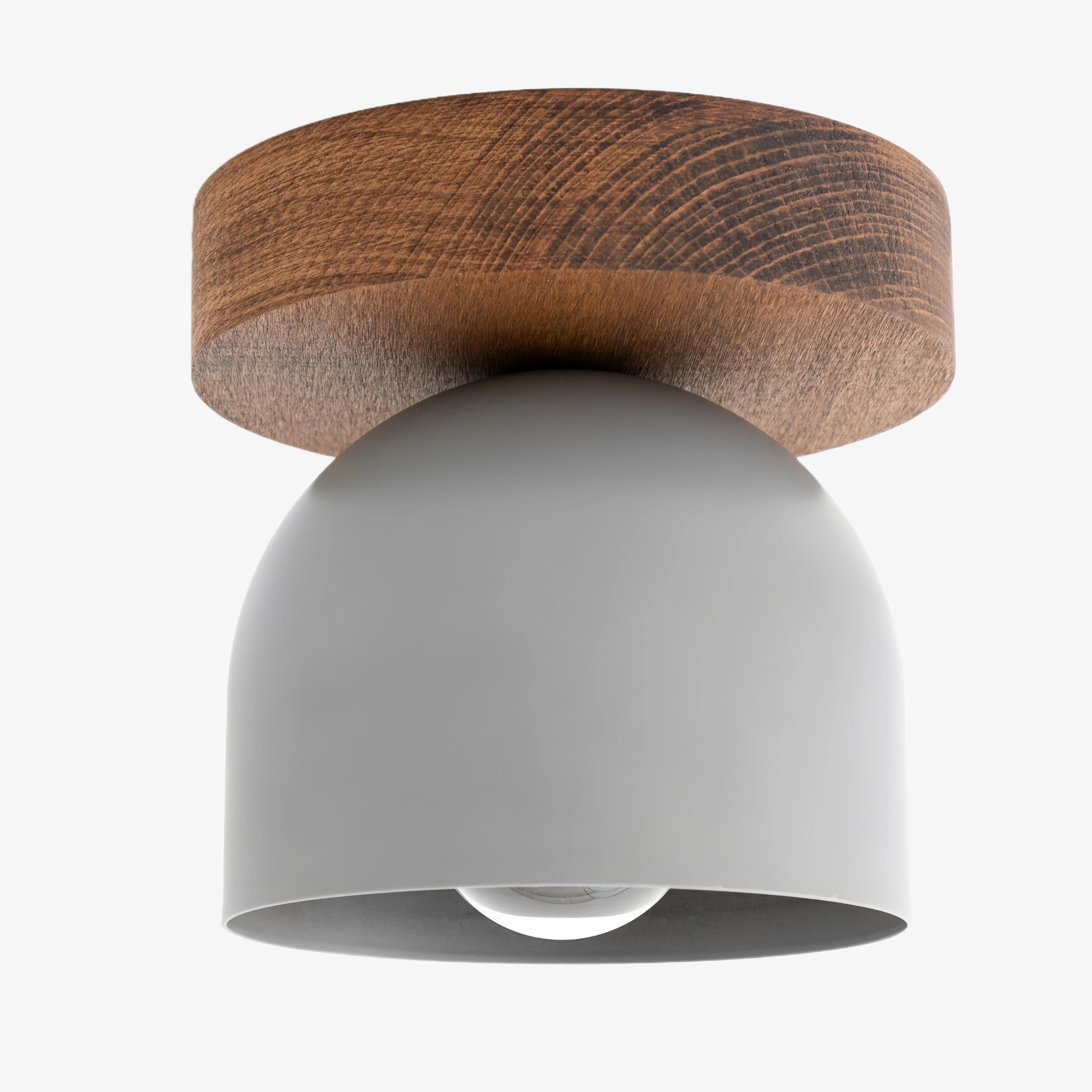 Metio Dome Modern Rustic Ceiling Light - Wooden and Metal Fusion T372