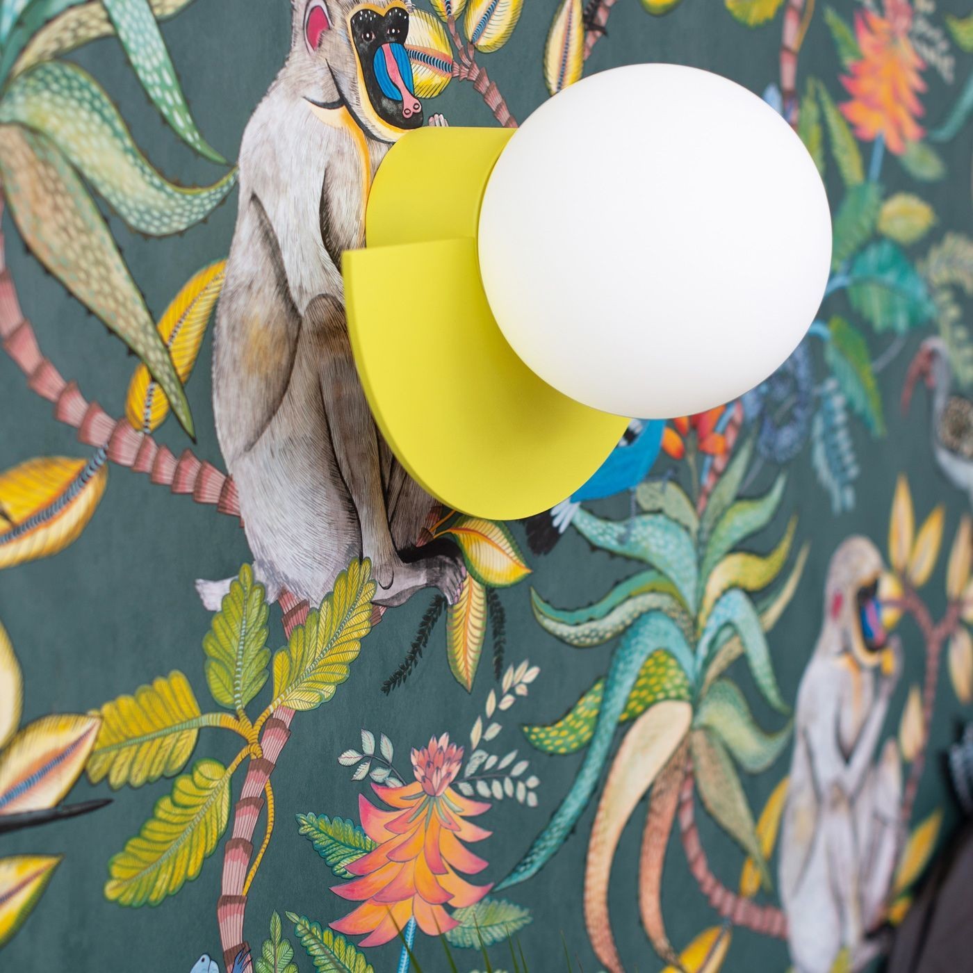 Colourful Ambient Wall Sconce - Decorative Indoor Light Fixture S149