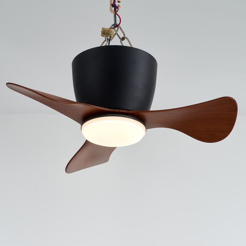 Ceiling Fan with Lights