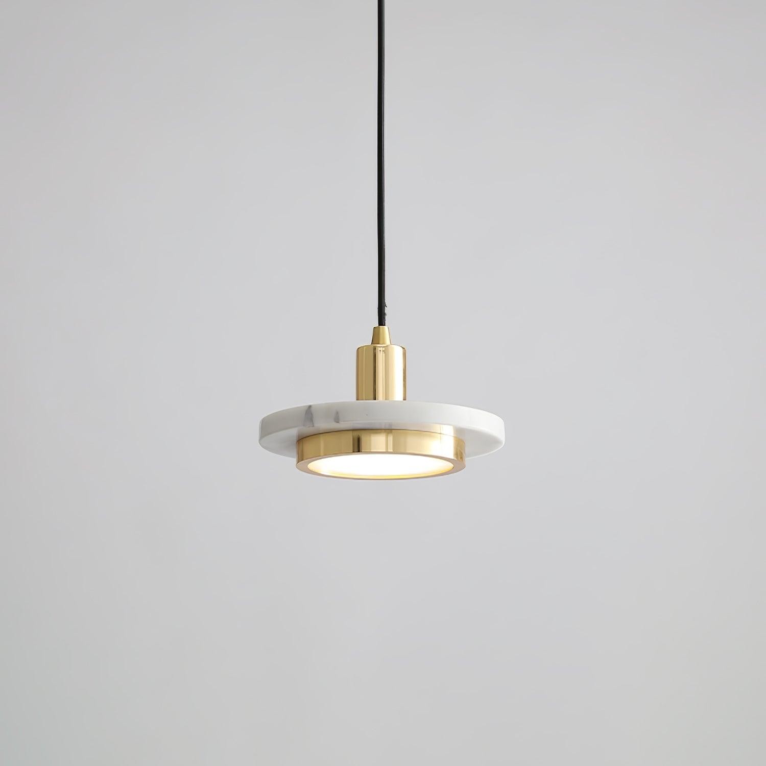 Double Circle Pendant Light M559