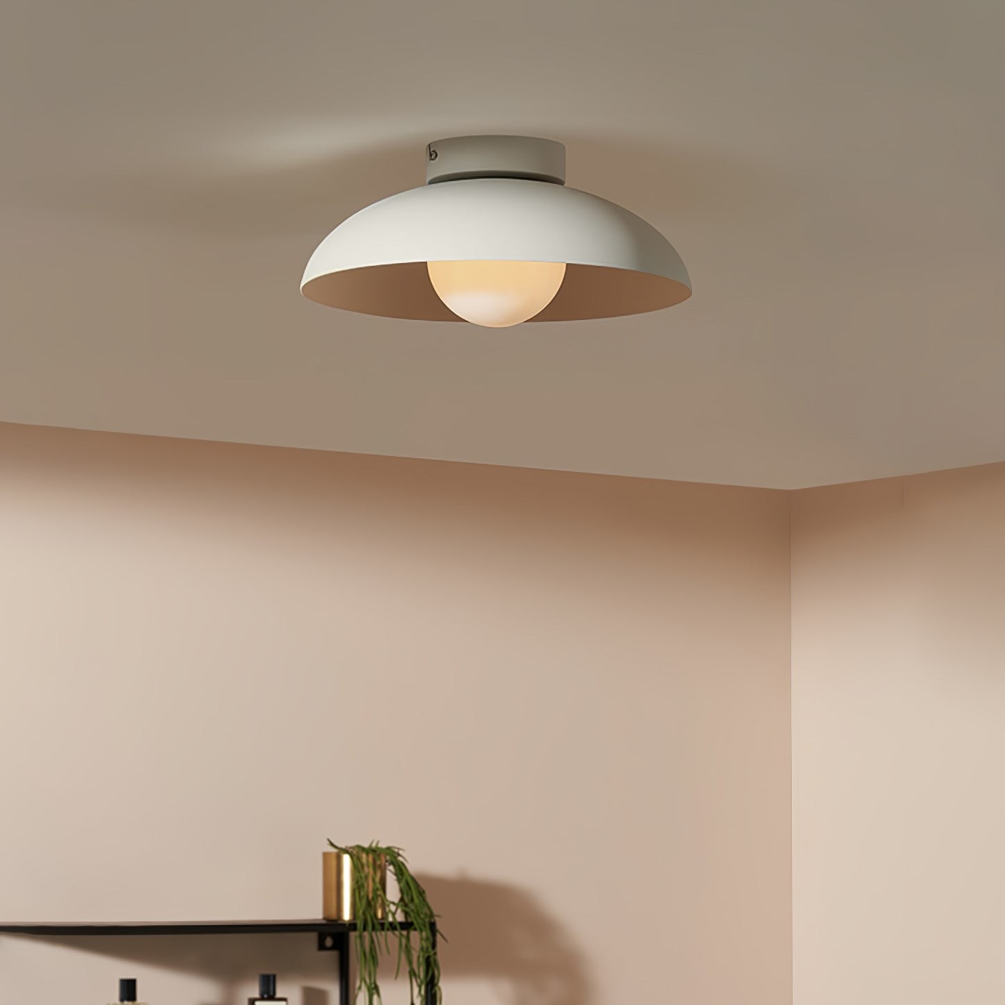 Matte Black Glass Dome Ceiling Lamp M449