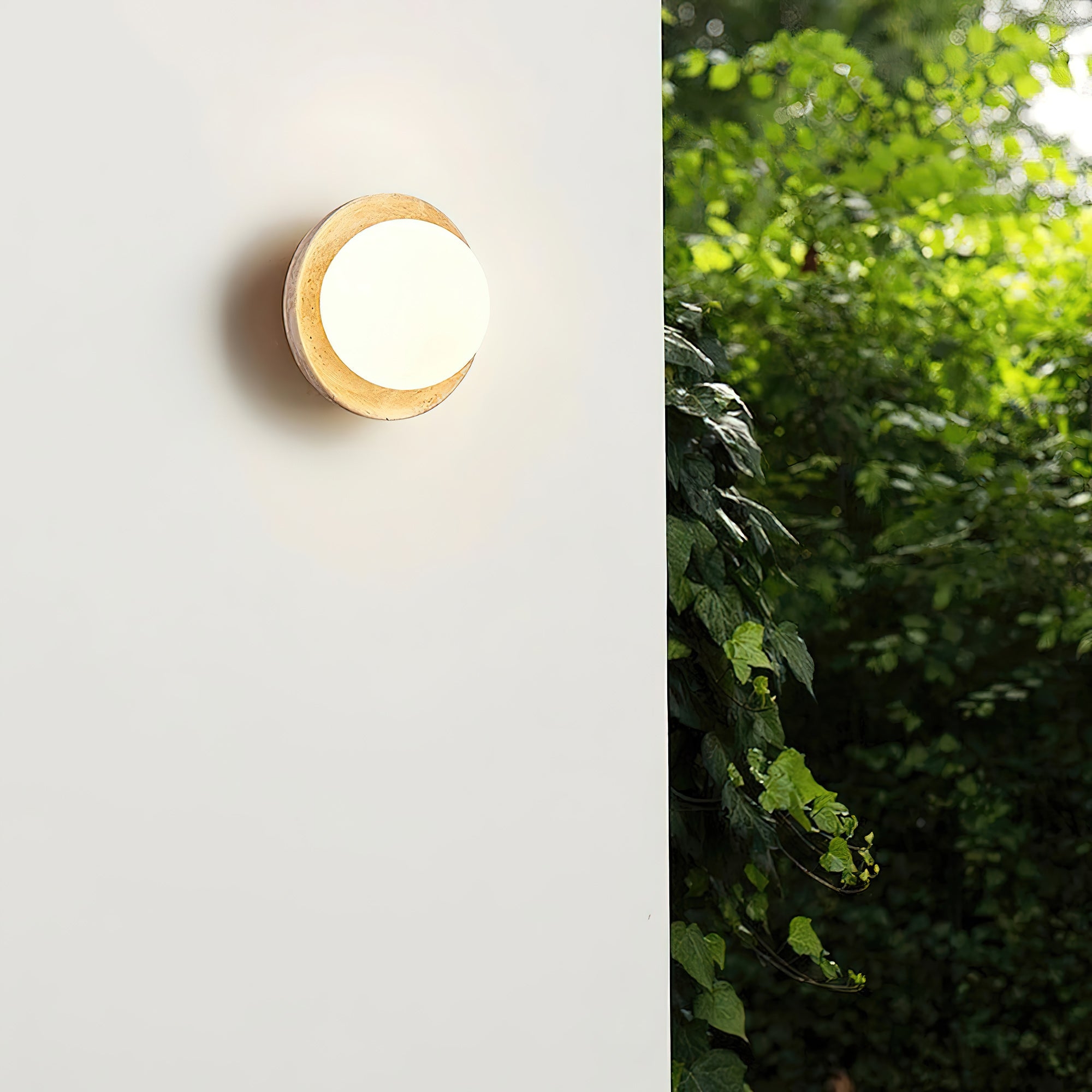 Eala Wall Lamp T1880