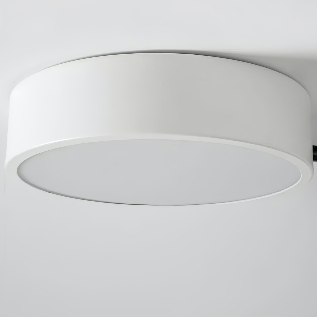 Modern LED Ceiling Lamp - Stylish Wood Disc with Branch Design for Bedroom S379