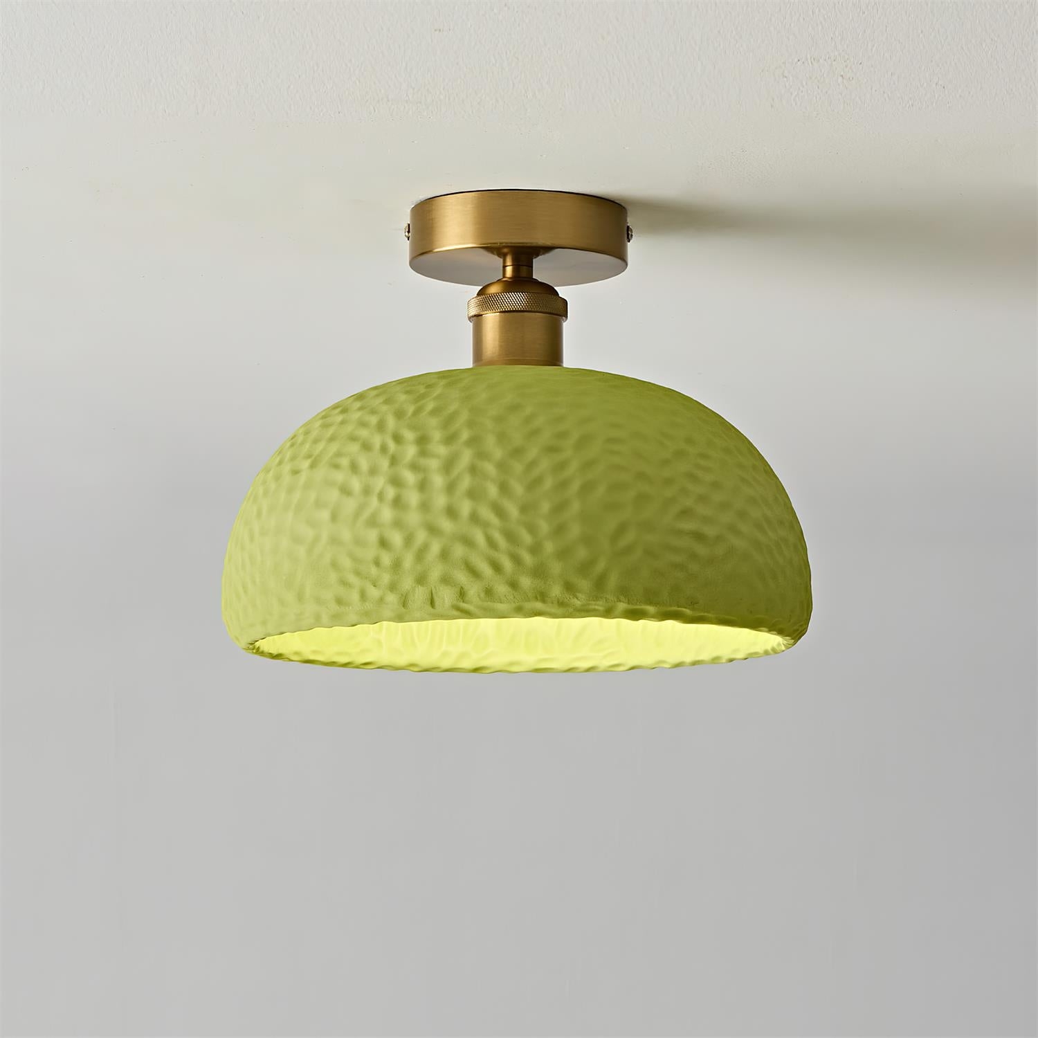Moss Glow Ceiling Lamp T1409