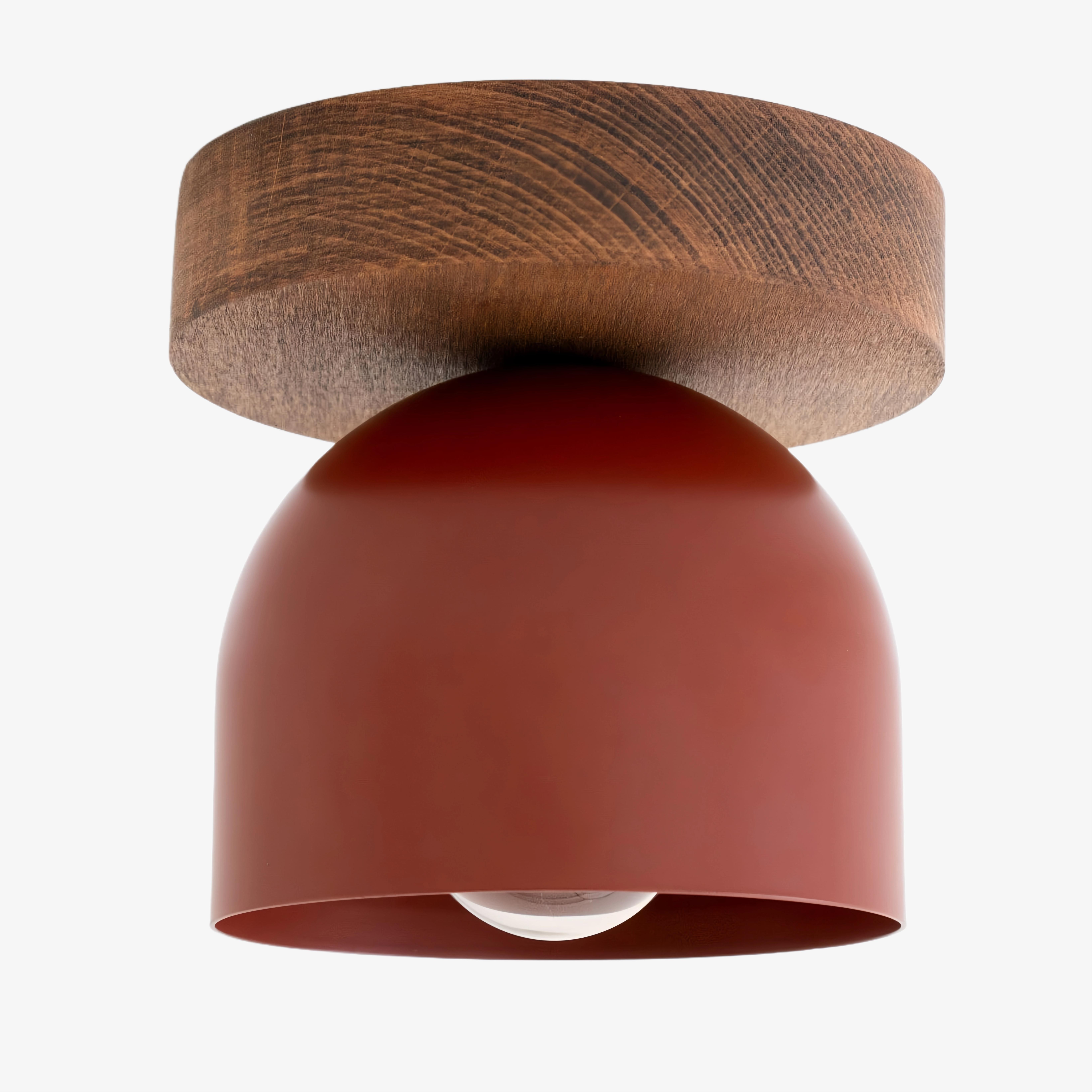 Metio Dome Modern Rustic Ceiling Light - Wooden and Metal Fusion T372
