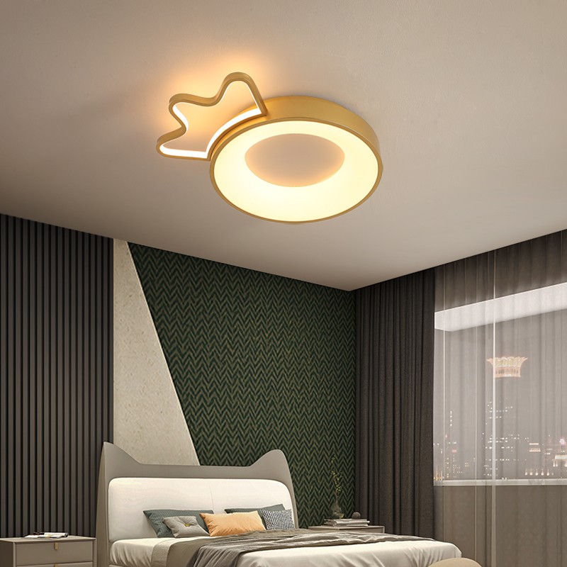 Cartoon Crown Led Ceiling Lamp S71