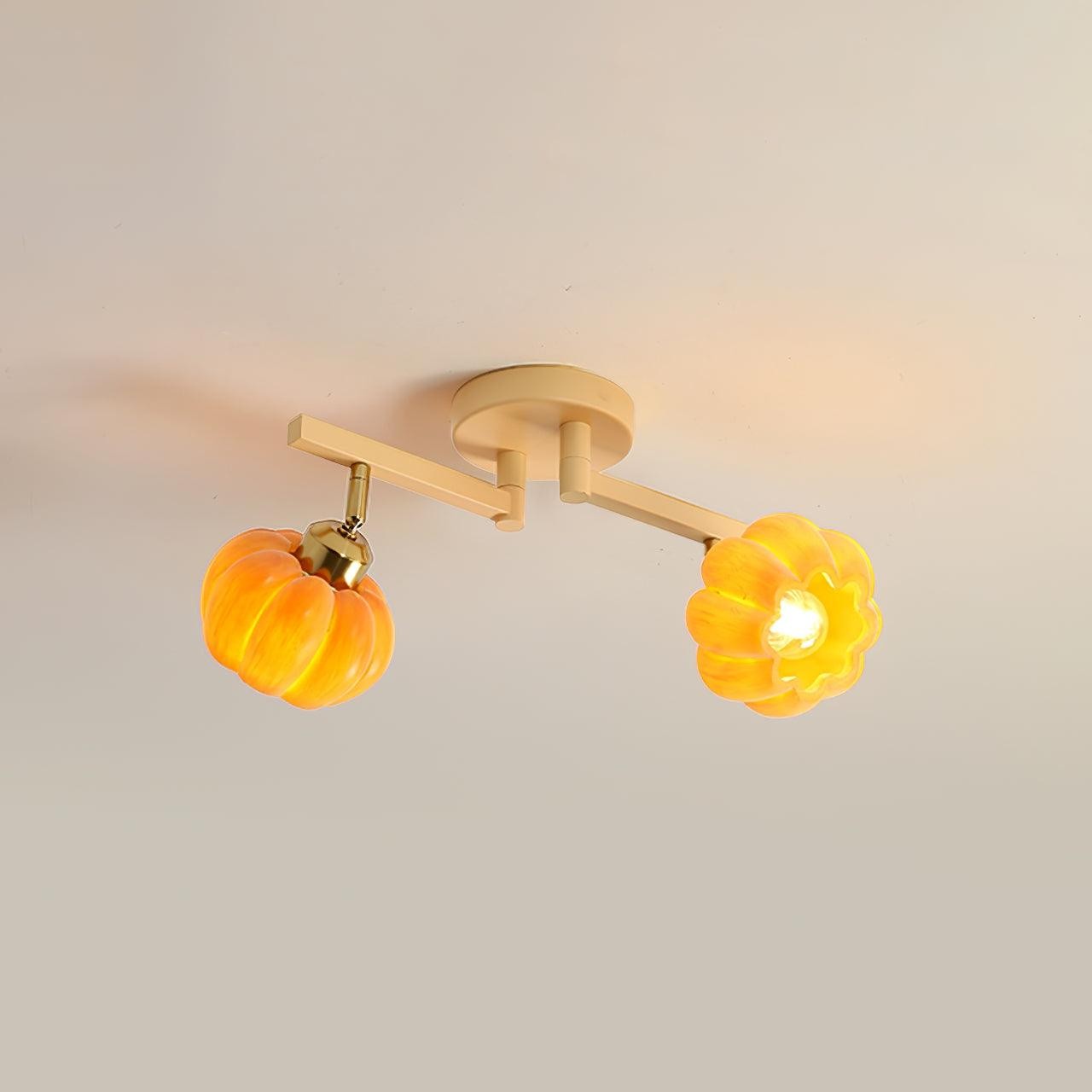 Pumpkin Flower Ceiling Lamp M214
