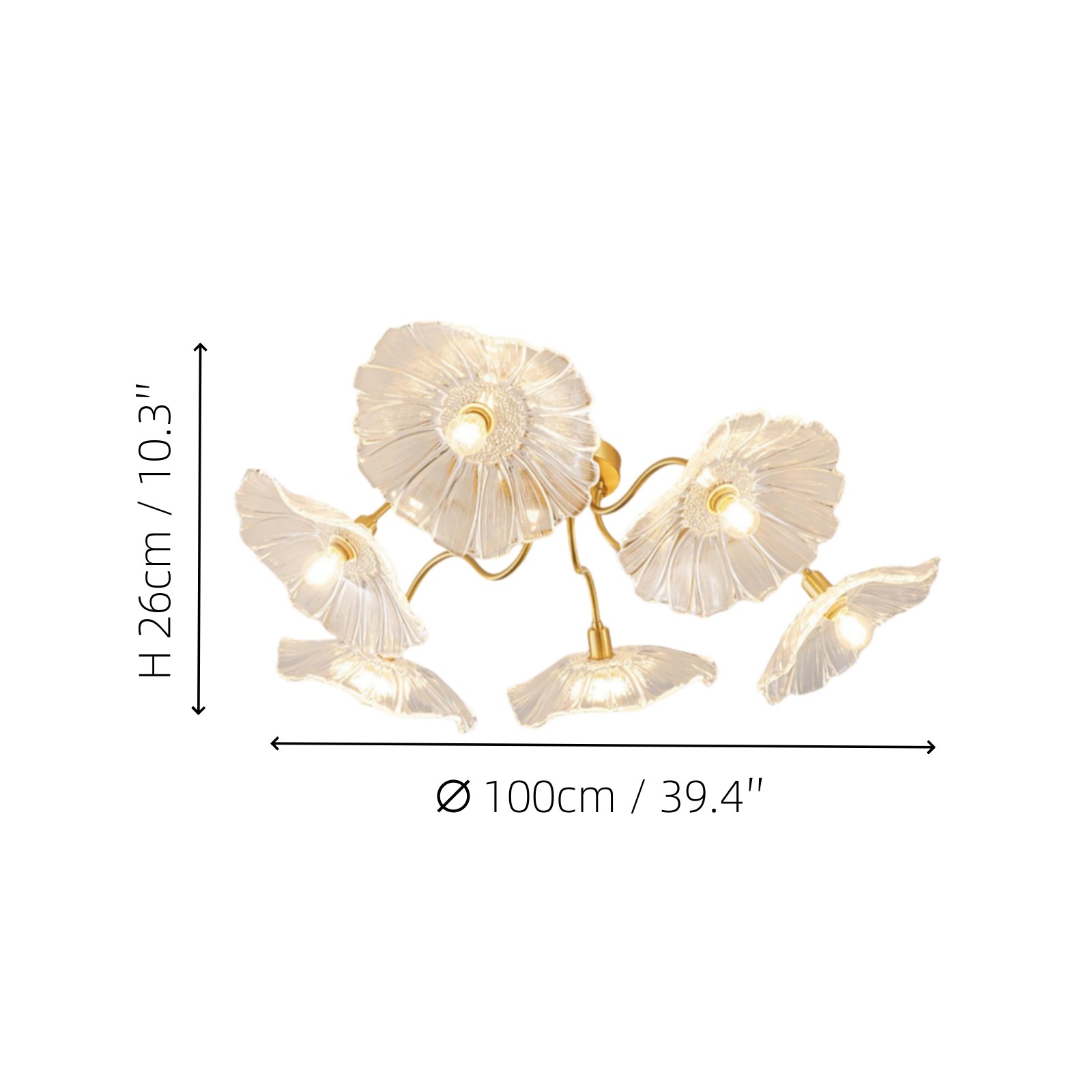 Murano Glass Flowers Ceiling Light P049