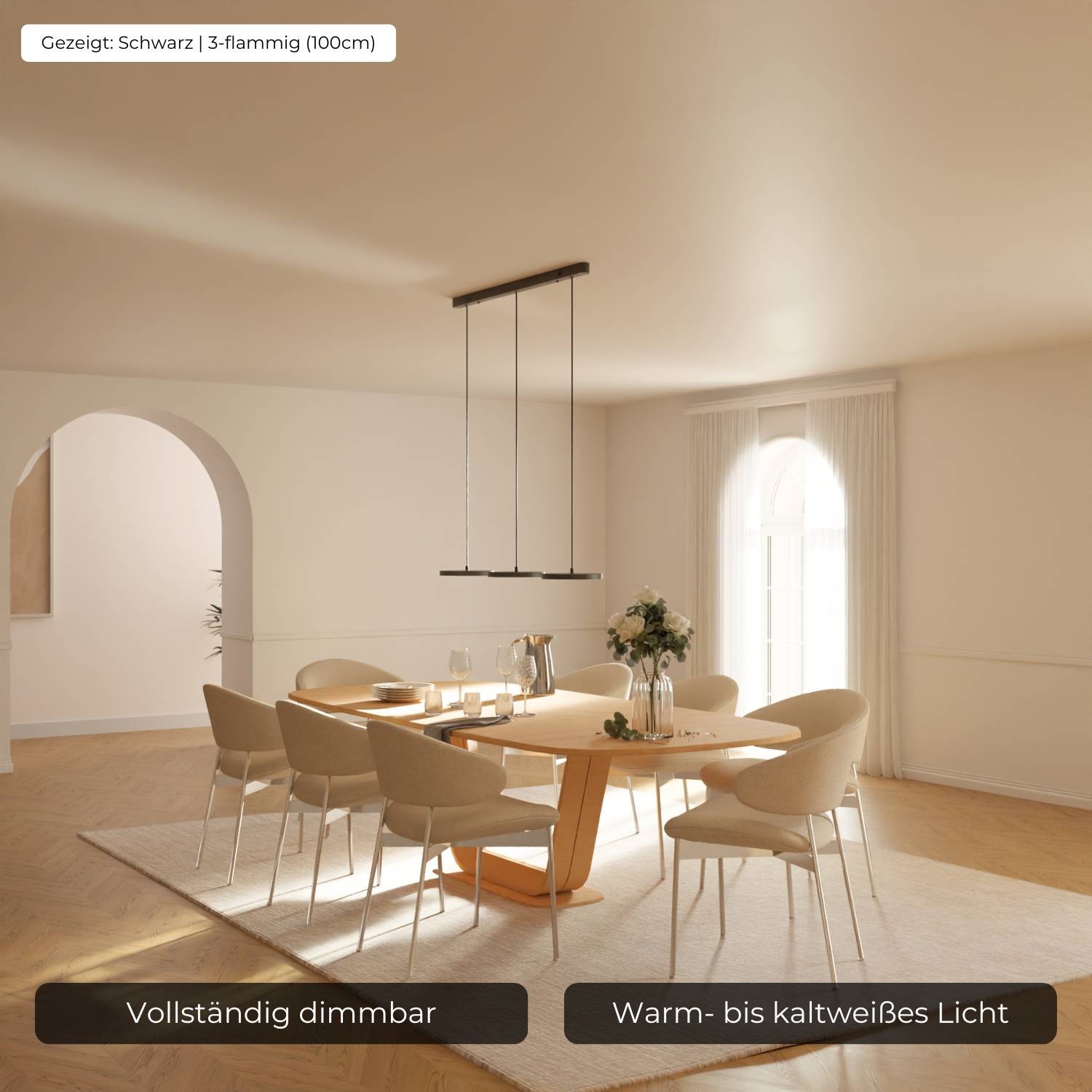 Evanos Designer Pendant Light G82