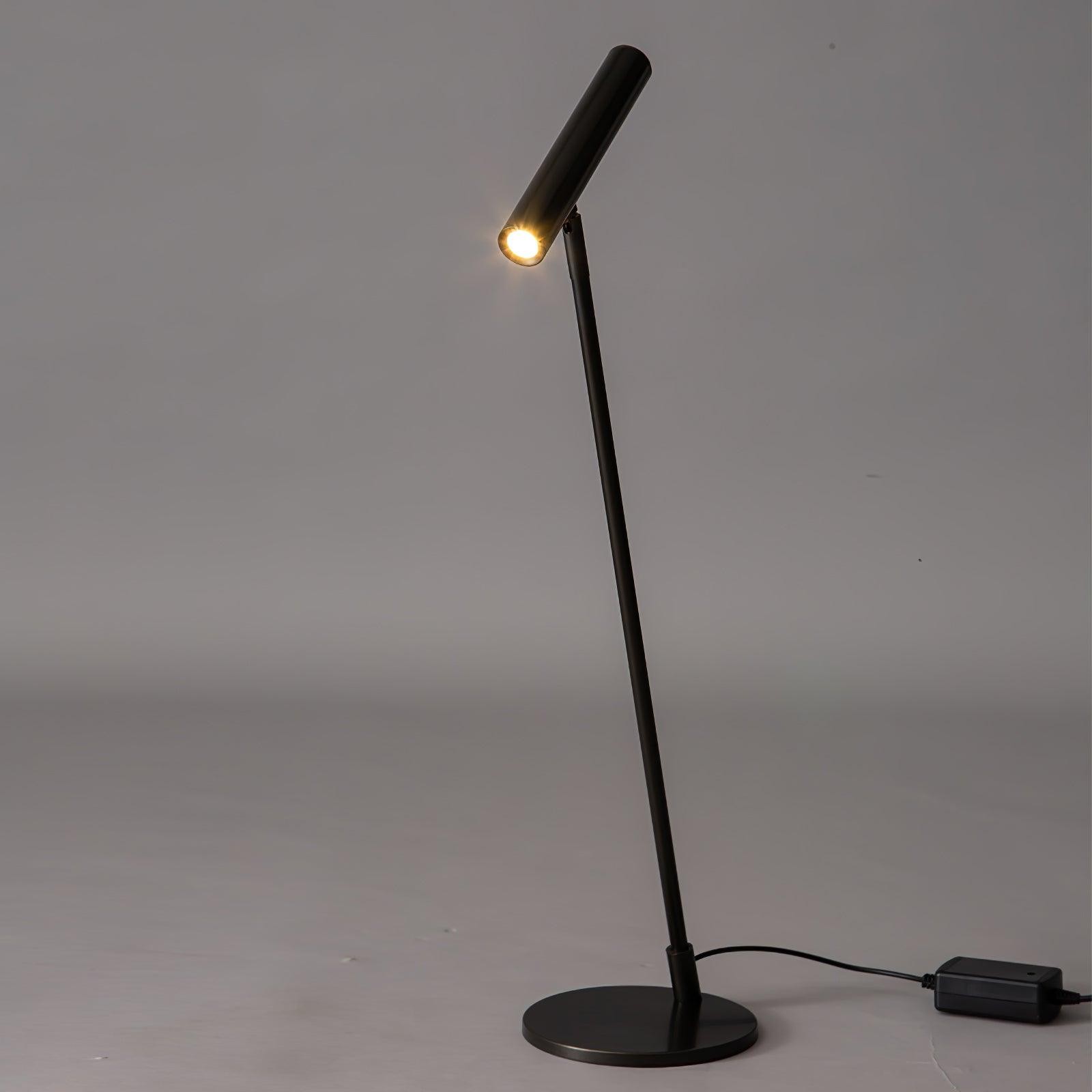 Modern Minimalist Brass Adjustable LED Floor Lamp M402