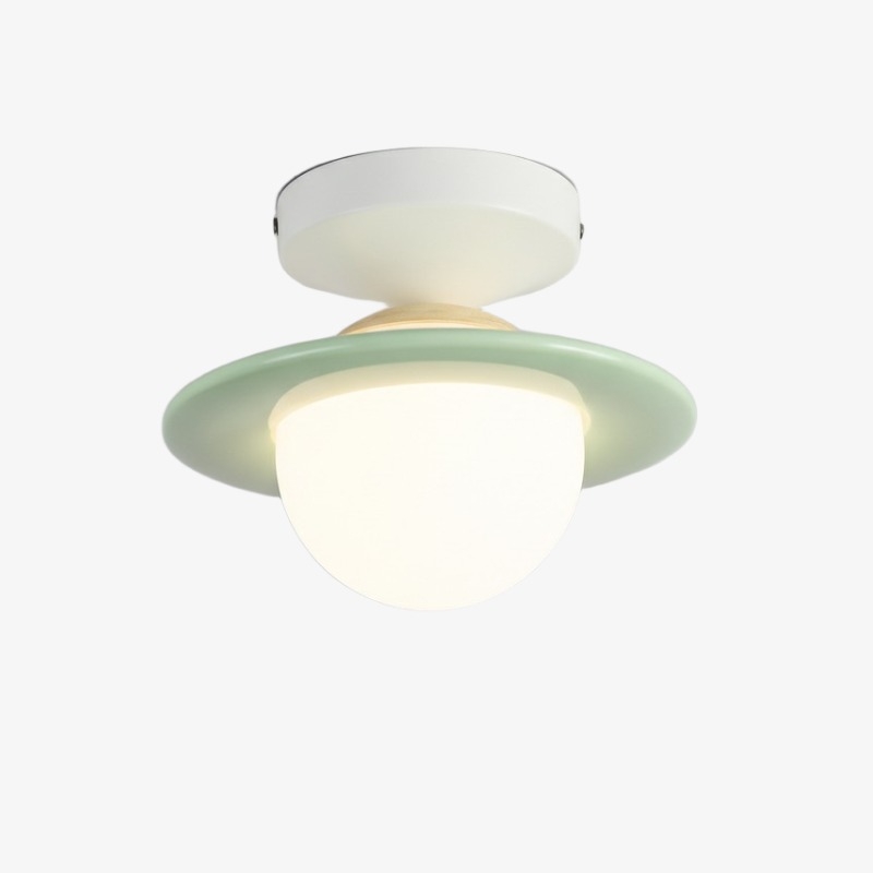 Olevira Modern Minimalist Colorful Ceiling Light - Mount for Bedroom or Living Room T1117