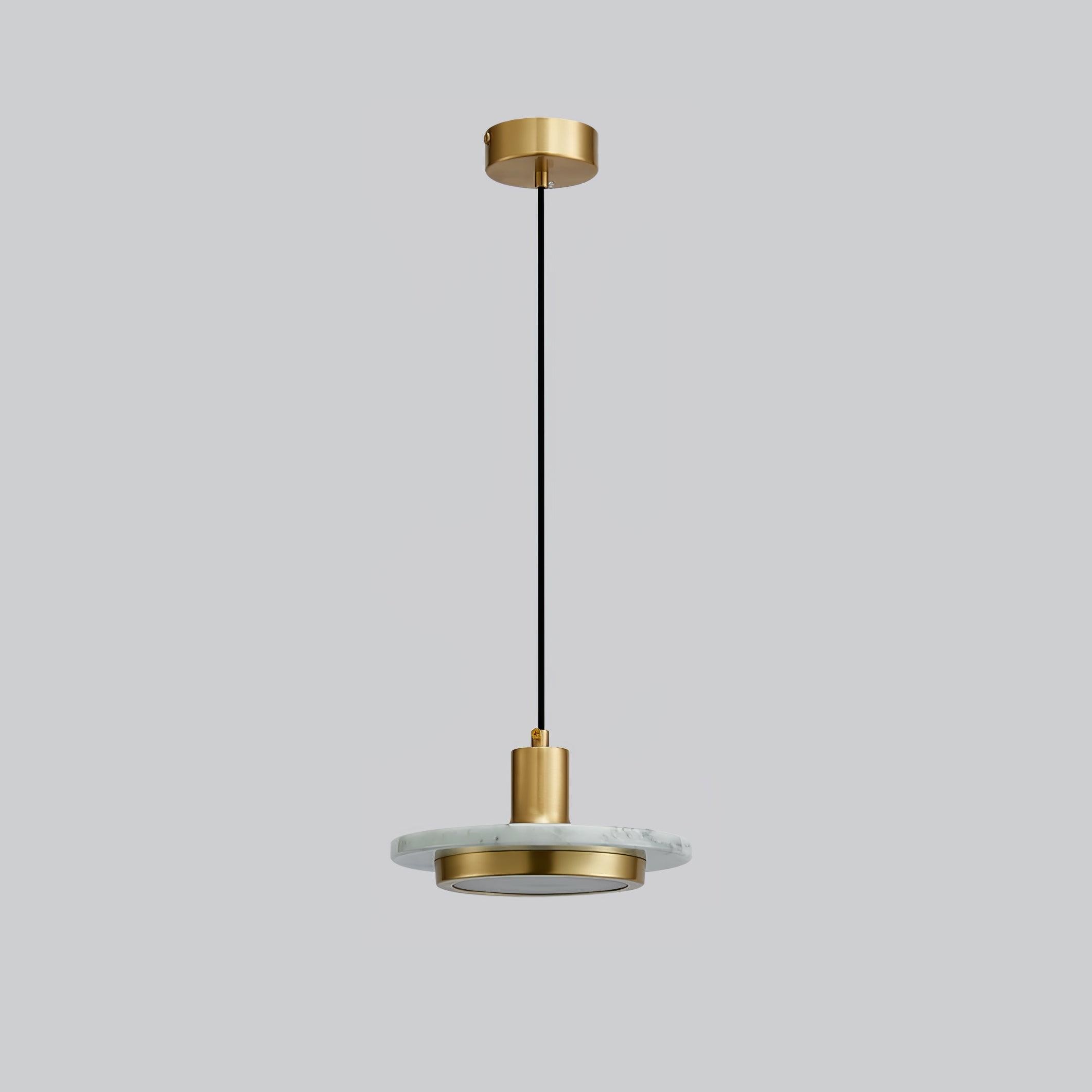 Double Circle Pendant Light M559