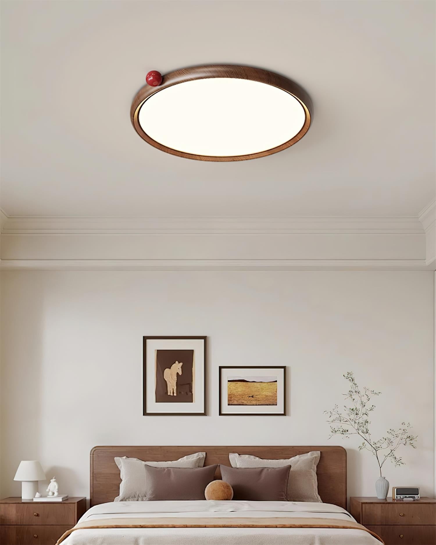 Geos LED Ceiling Light T1233