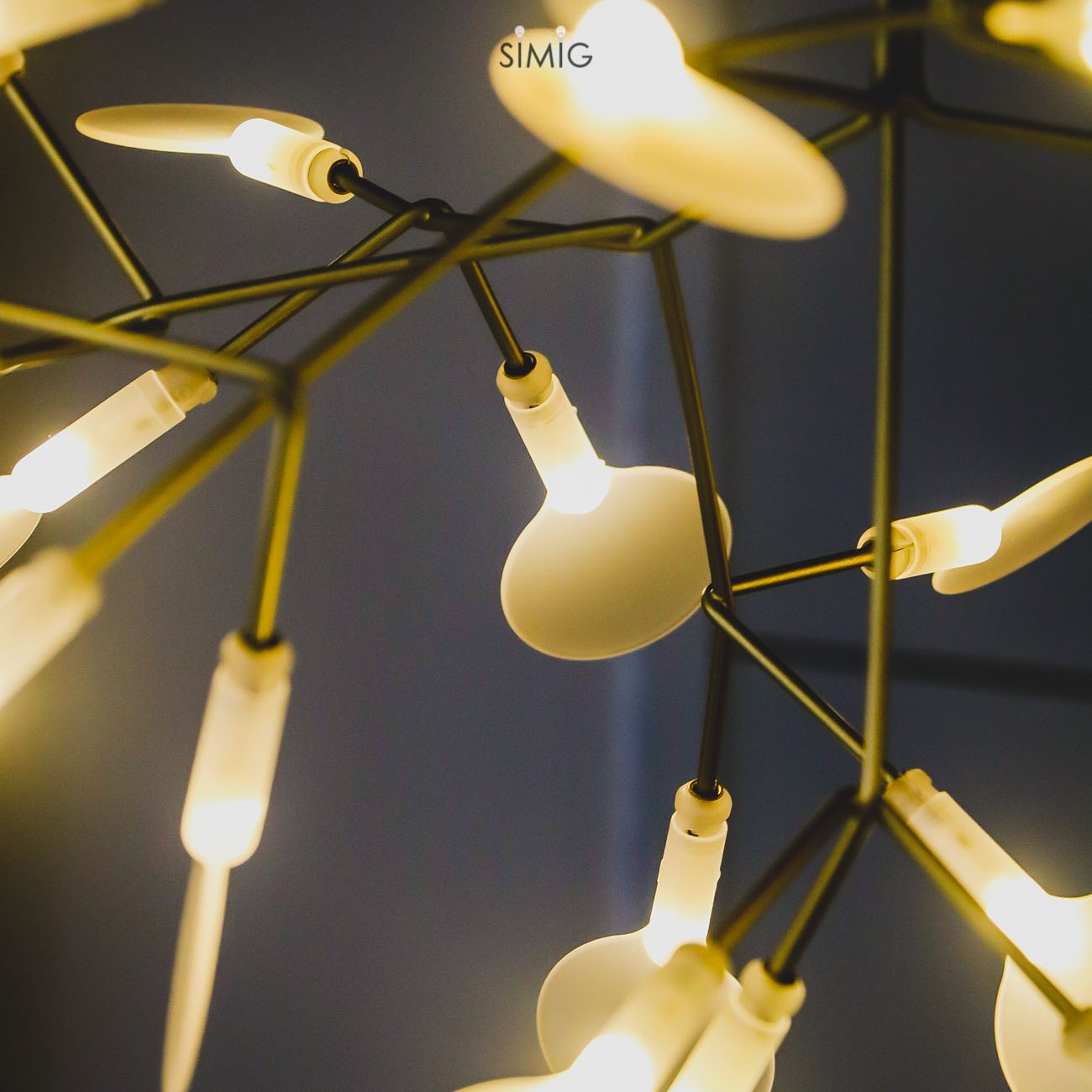 Floresta Chandelier – Artistic LED Chandelier for Residential Spaces
