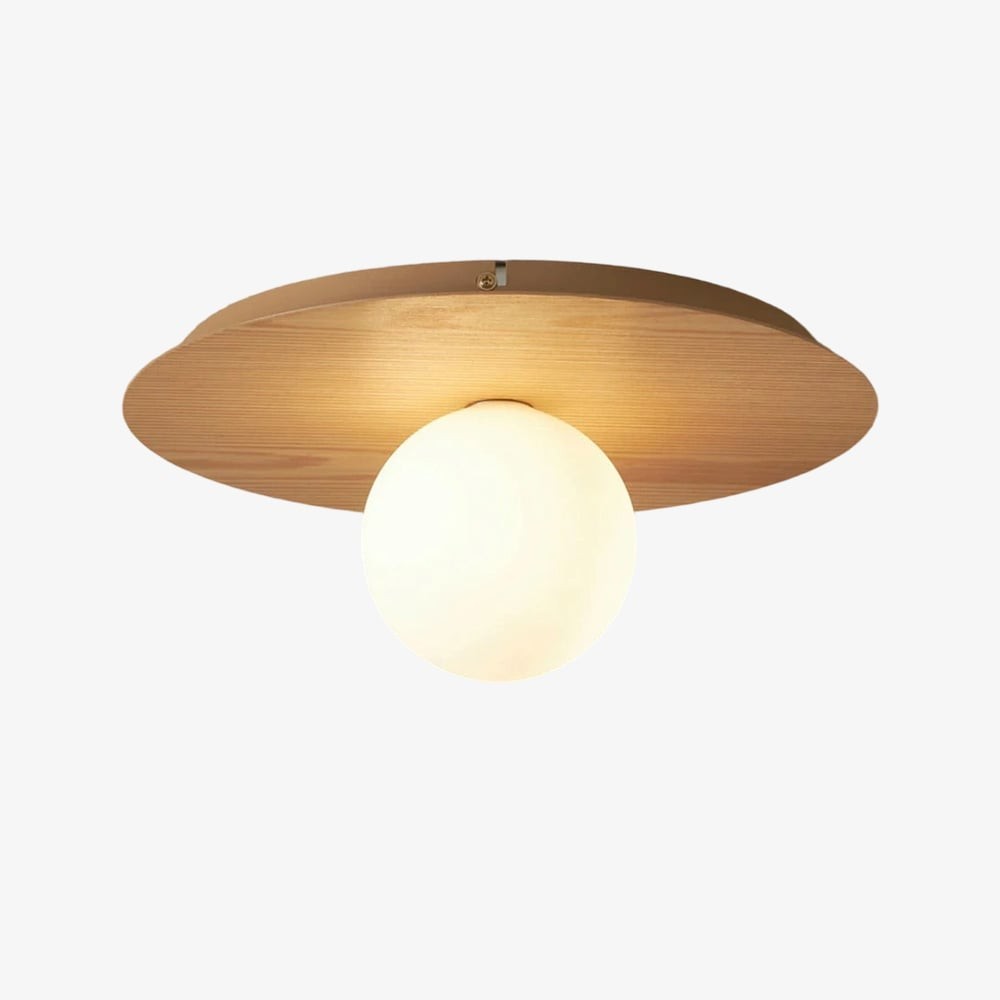AuroraDisk Nordic LED Sconce - Round Ceiling / Wall Light T456