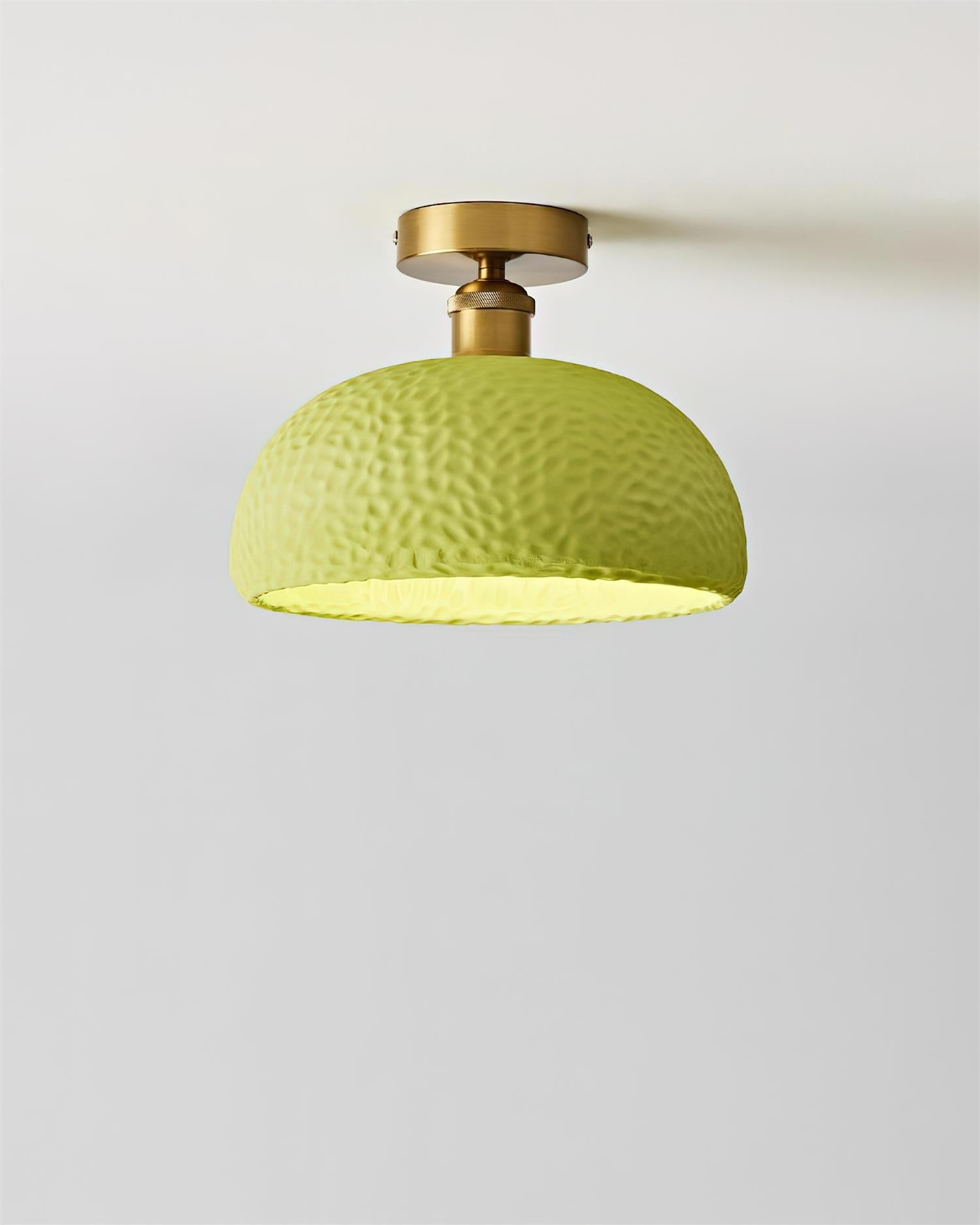 Moss Glow Ceiling Lamp T1409