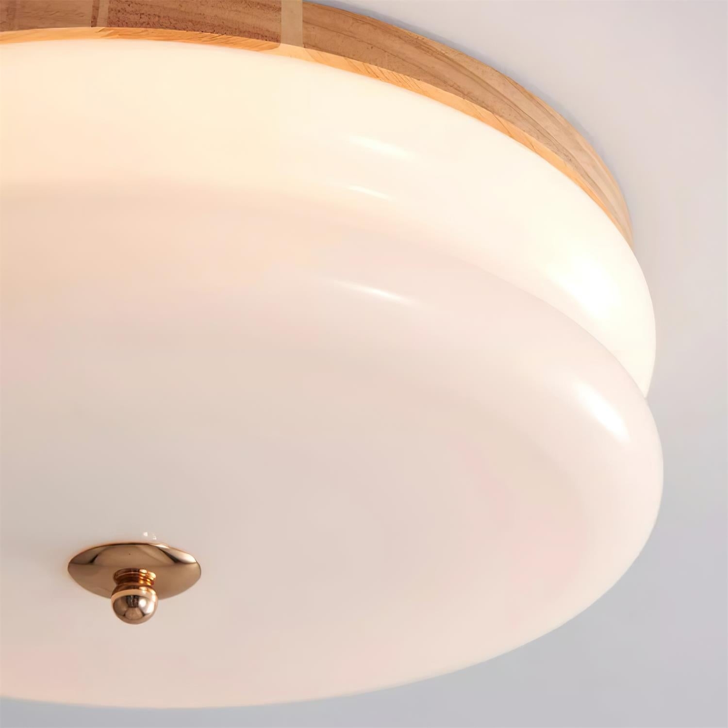 Rowen Ceiling Light T1229