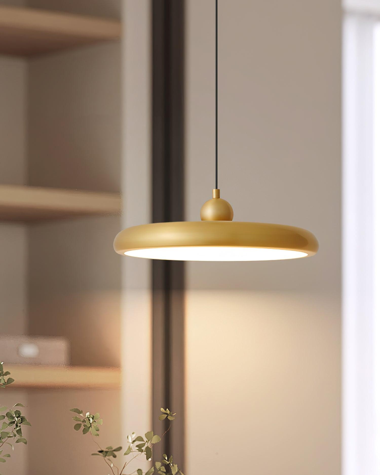 Thin Disc Pendant Lamp M404