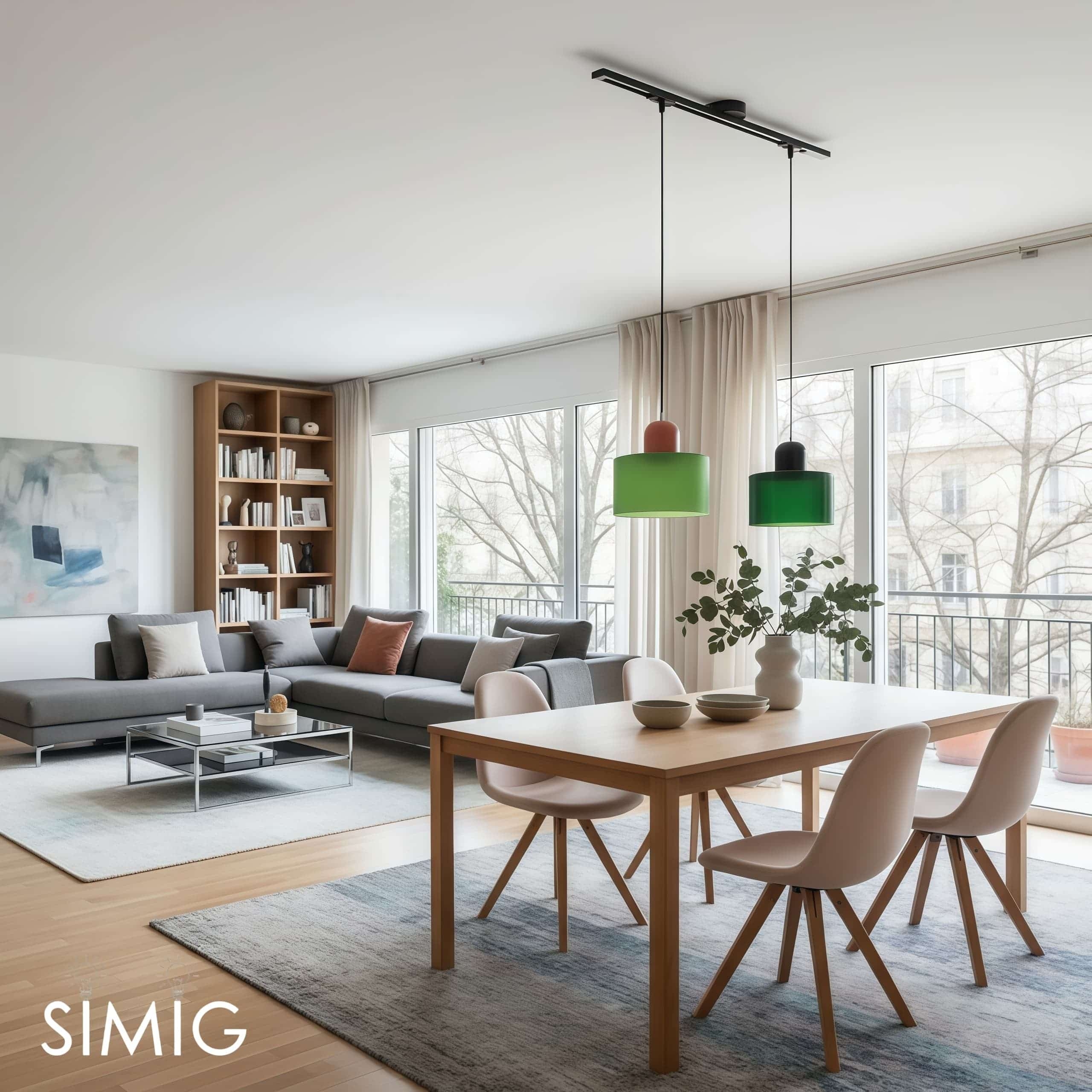 Axitra Rotatable Pendant Light Ceiling Rail – Sleek Adjustable Track for Pendant Lights Contemporary N21