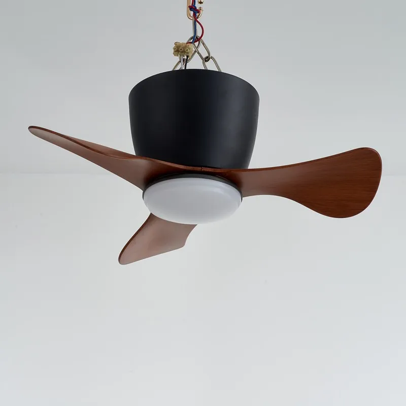 Ceiling Fan with Lights