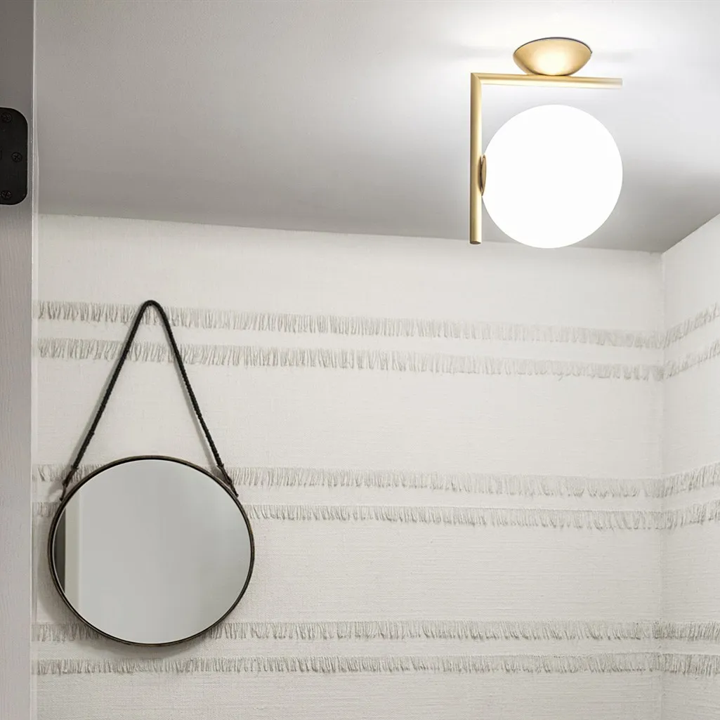 Iscalia Wall/Ceiling Light – Globe Design for Living Room
