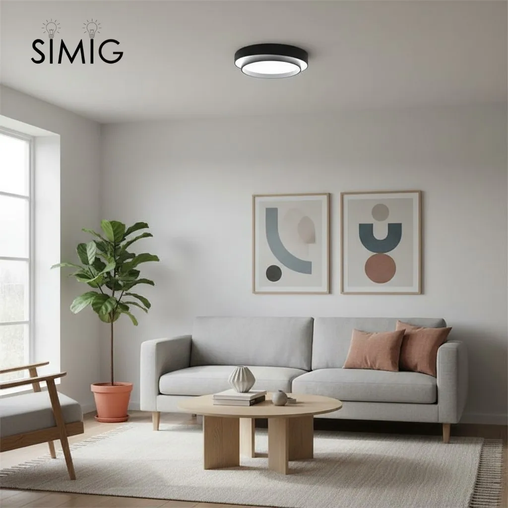 Melody Acrylic Wall / Ceiling Lamp S78