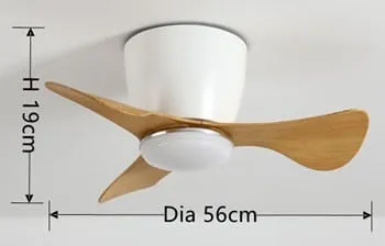 Ceiling Fan with Lights