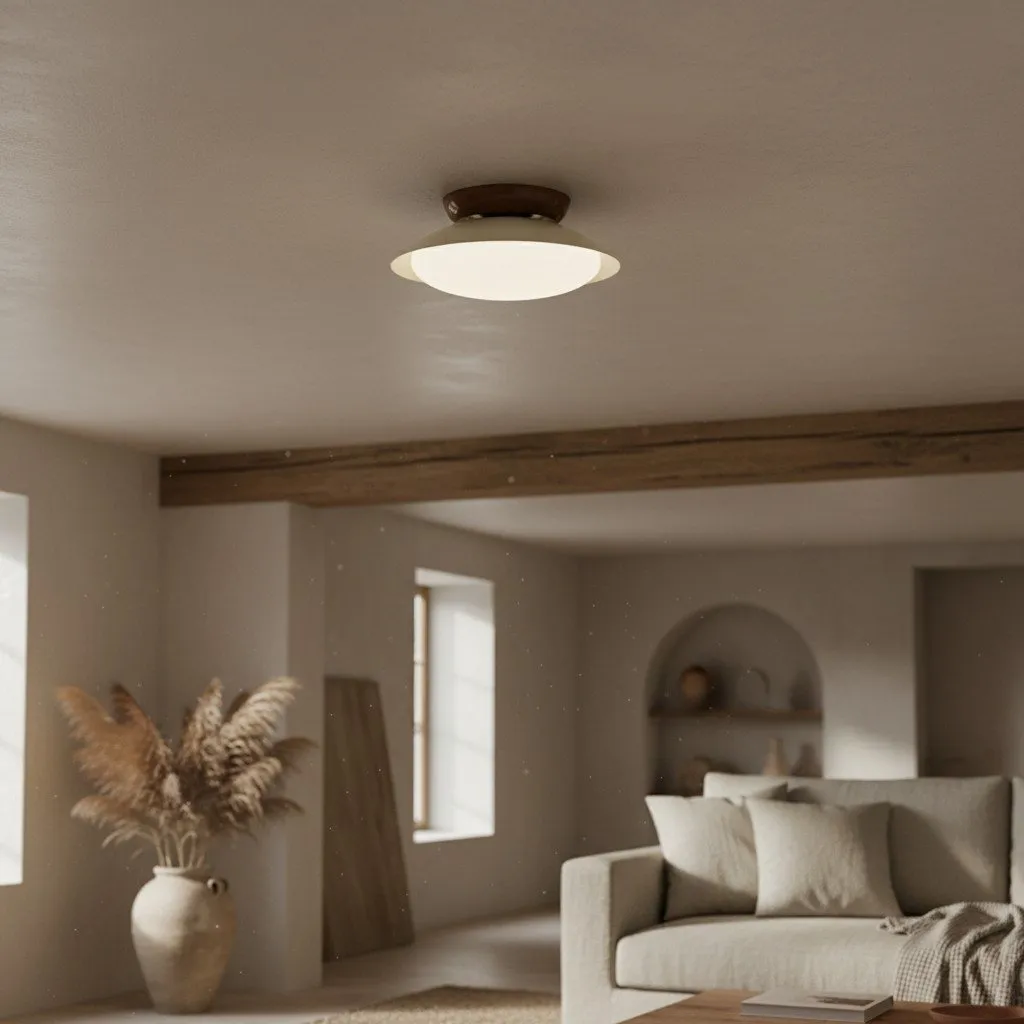 Heliora Dome Ceiling Light - Modern Metal and PE for Bedroom T537