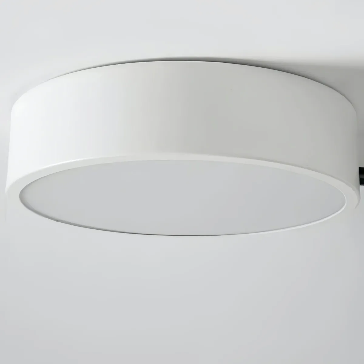 Modern LED Ceiling Lamp - Stylish Wood Disc with Branch Design for Bedroom S379