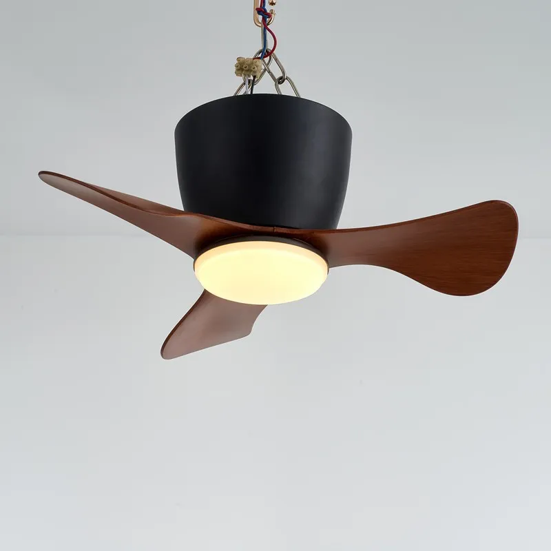 Ceiling Fan with Lights
