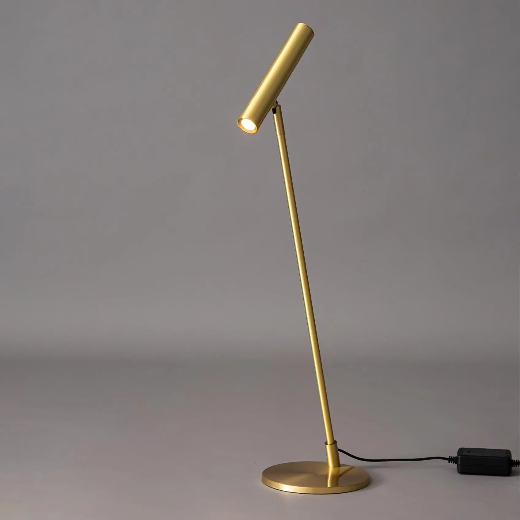 Modern Minimalist Brass Adjustable LED Floor Lamp M402