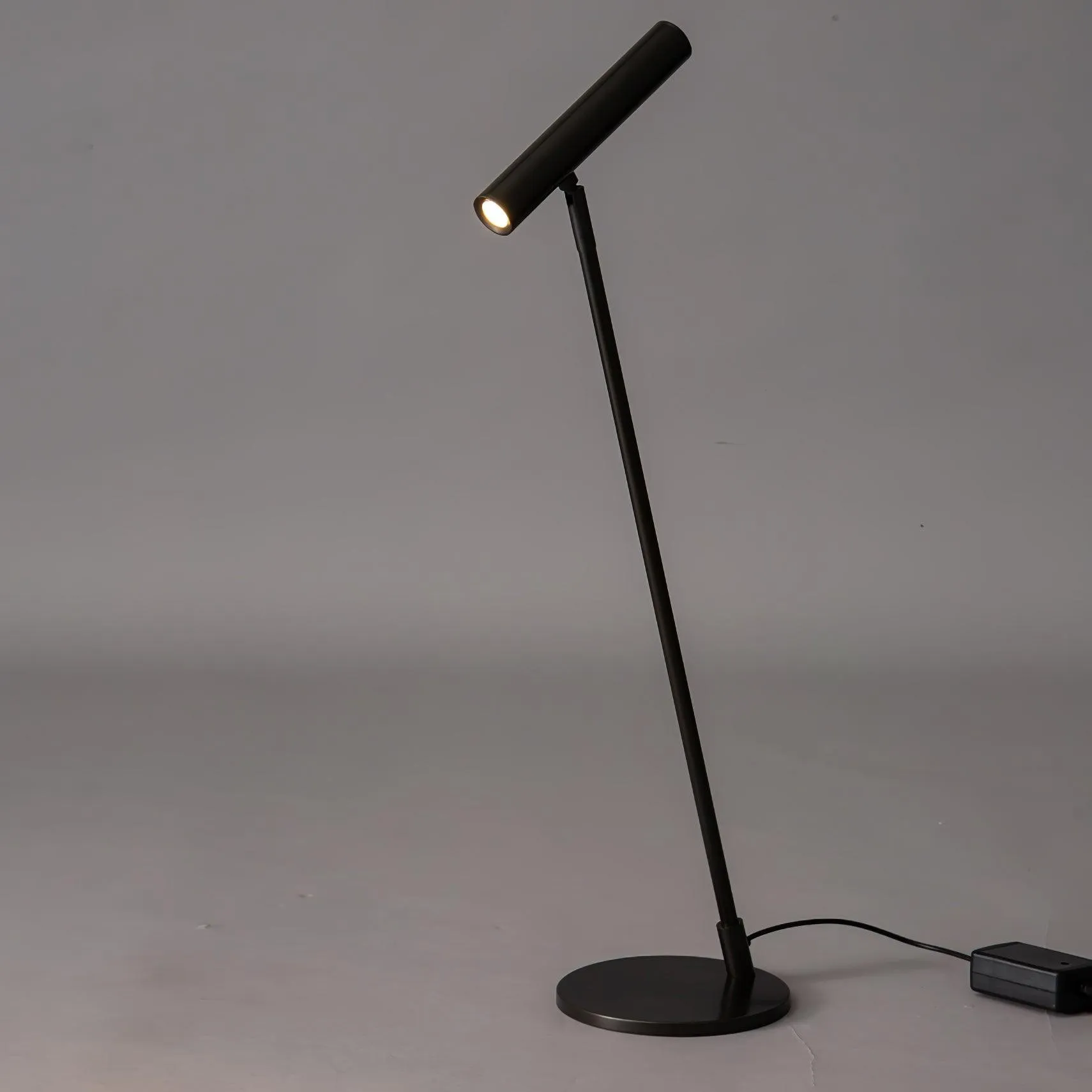 Modern Minimalist Brass Adjustable LED Floor Lamp M402