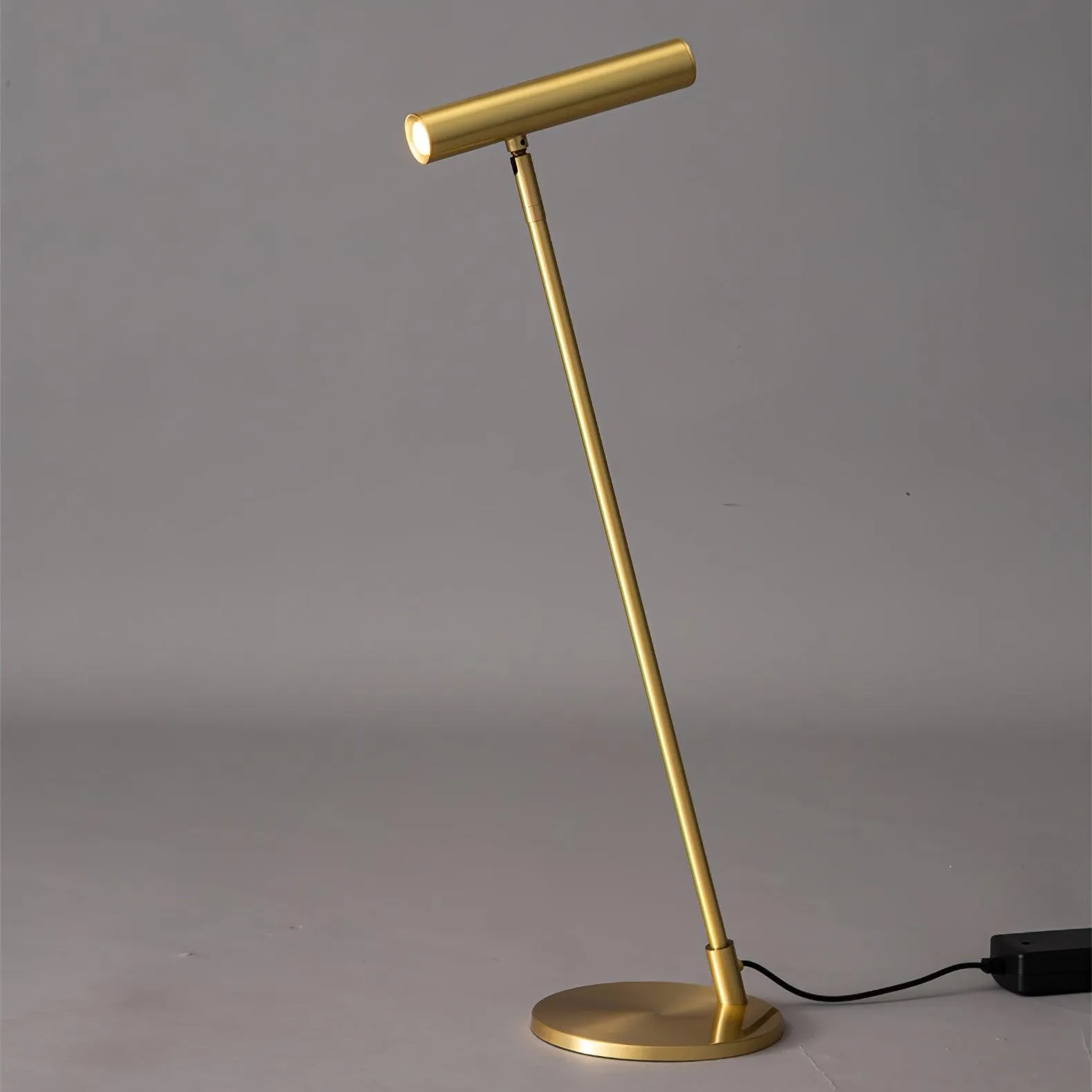 Modern Minimalist Brass Adjustable LED Floor Lamp M402