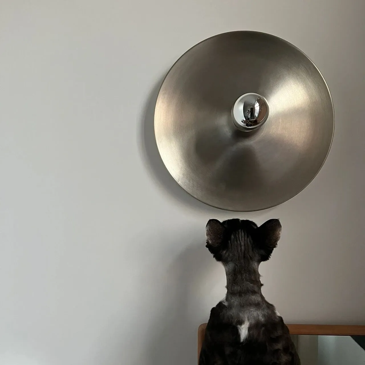 Space Age Disc Ceiling Lamp G93