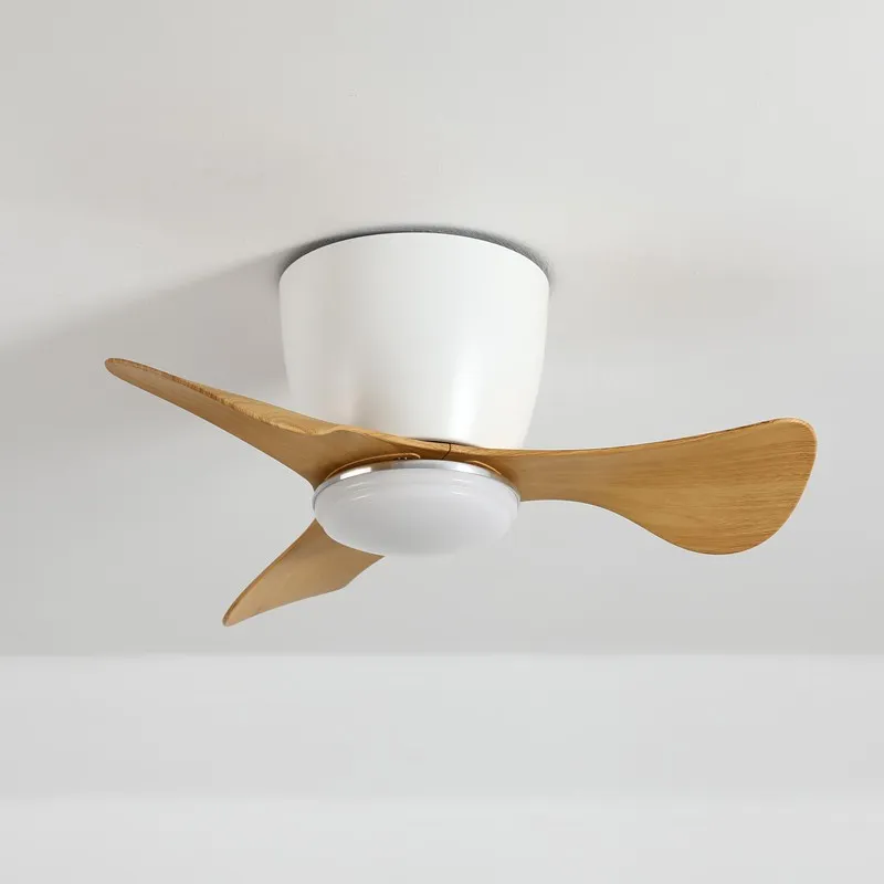 Ceiling Fan with Lights