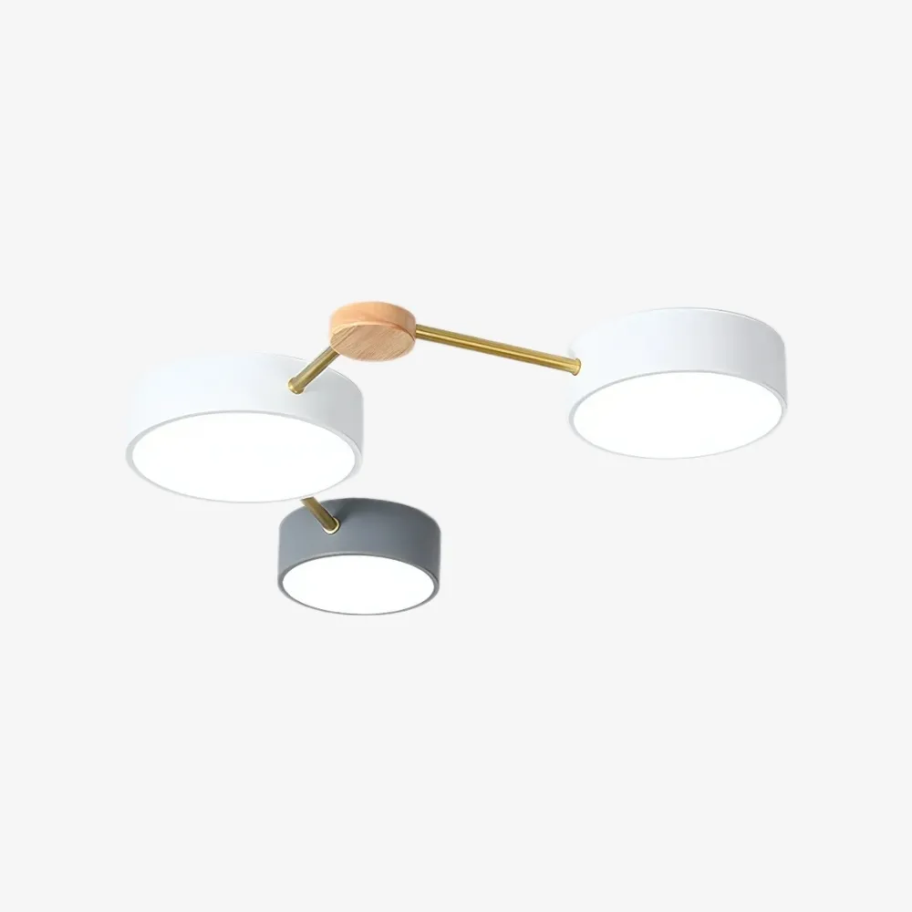 Contemporary LED Ceiling Lamp - Nordic Circle with Wood Branches for Bedroom S382