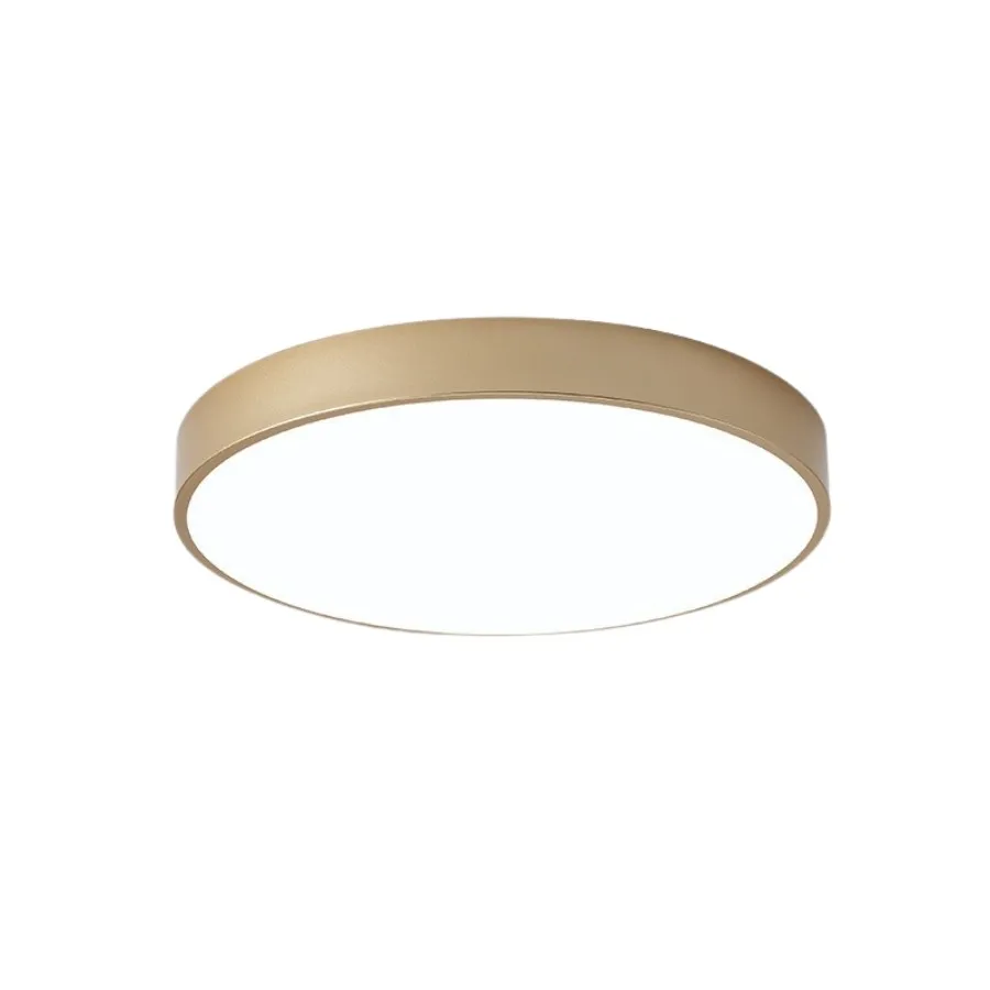 Morandi Macaron LED Dimmable Ceiling lamp S191