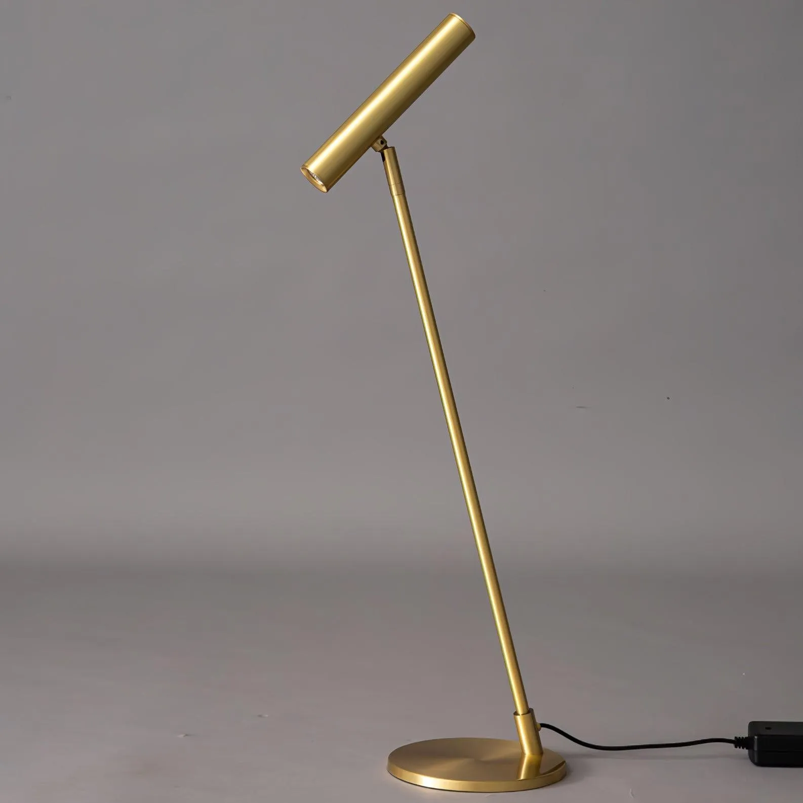 Modern Minimalist Brass Adjustable LED Floor Lamp M402